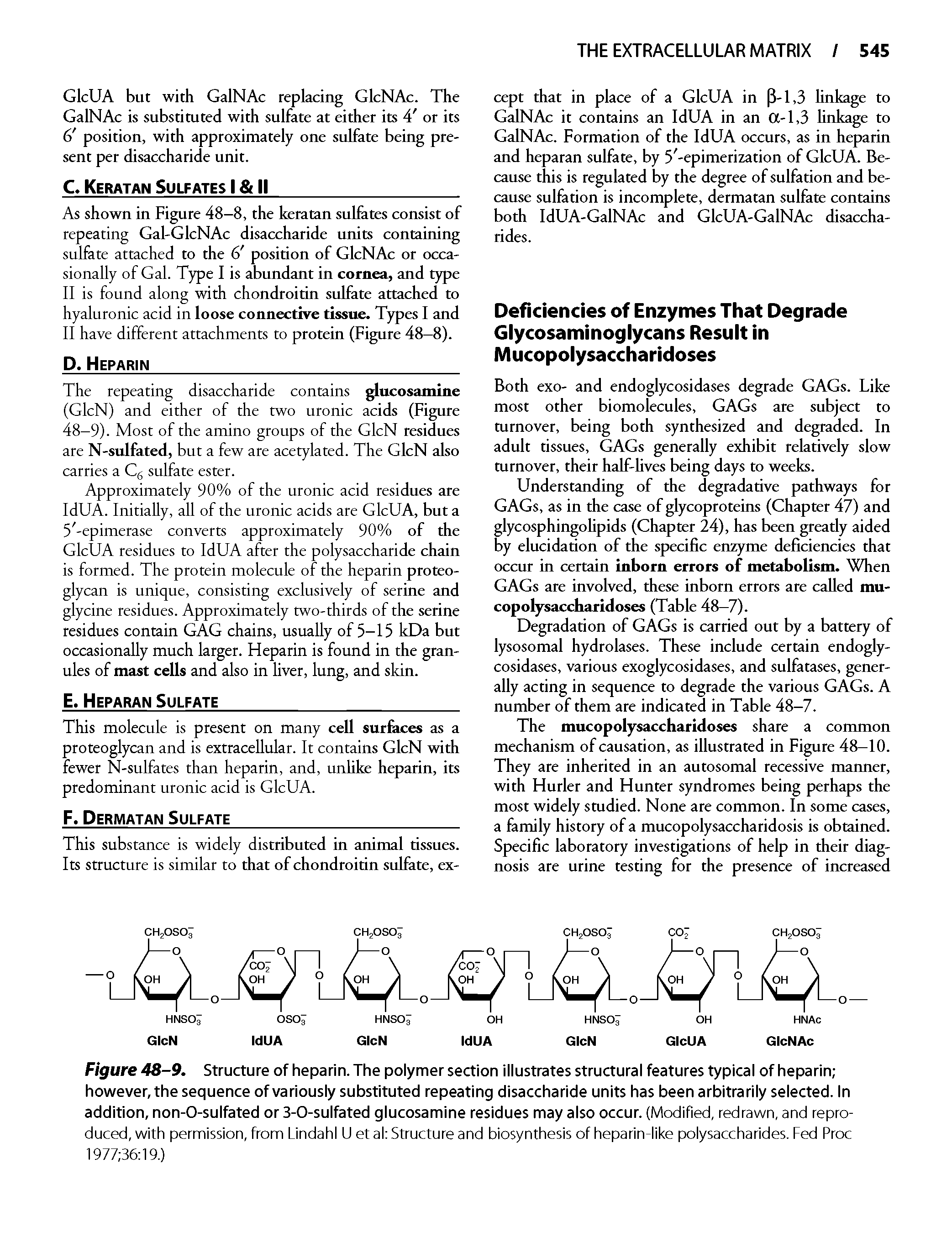 Figure 48-9. Structure of heparin. The polymer section illustrates structural features typical of heparin however, the sequence of variously substituted repeating disaccharide units has been arbitrarily selected. In addition, non-O-sulfated or 3-0-sulfated glucosamine residues may also occur. (Modified, redrawn, and reproduced, with permission, from Lindahl U et al Structure and biosynthesis of heparin-like polysaccharides. Fed Proc 1977 36 19.)...