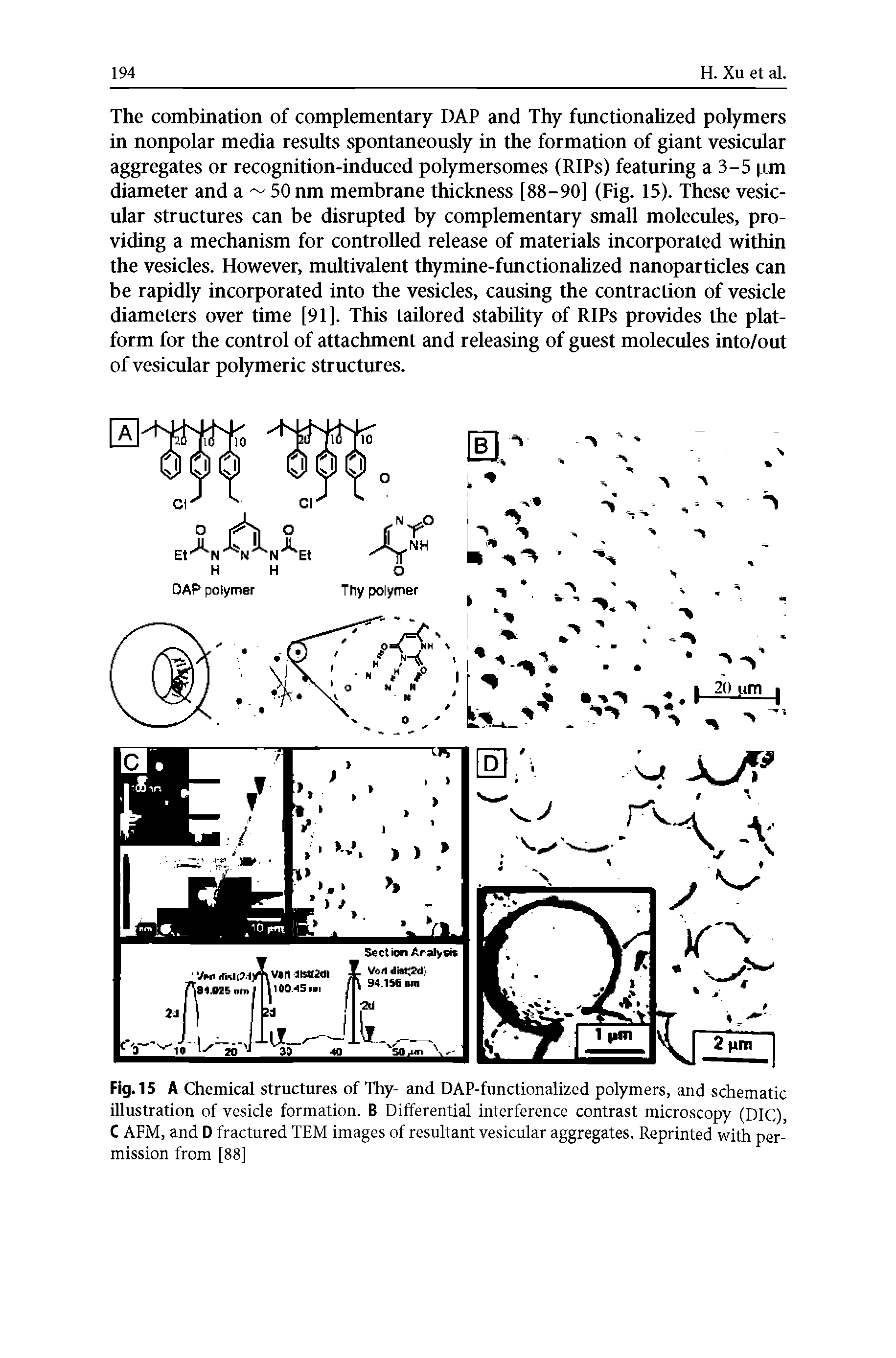 Fig. 15 A Chemical structures of Thy- and DAP-functionalized polymers, and schematic illustration of vesicle formation. B Differential interference contrast microscopy (DIG), C AFM, and D fractured TEM images of resultant vesicular aggregates. Reprinted with permission from [88]...