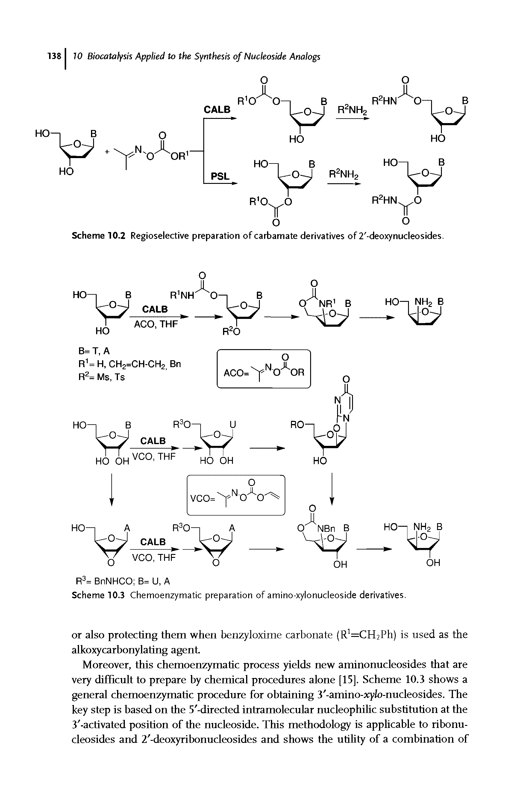 Scheme 10.2 Regioselective preparation of carbamate derivatives of 2 -deoxynucleosides.