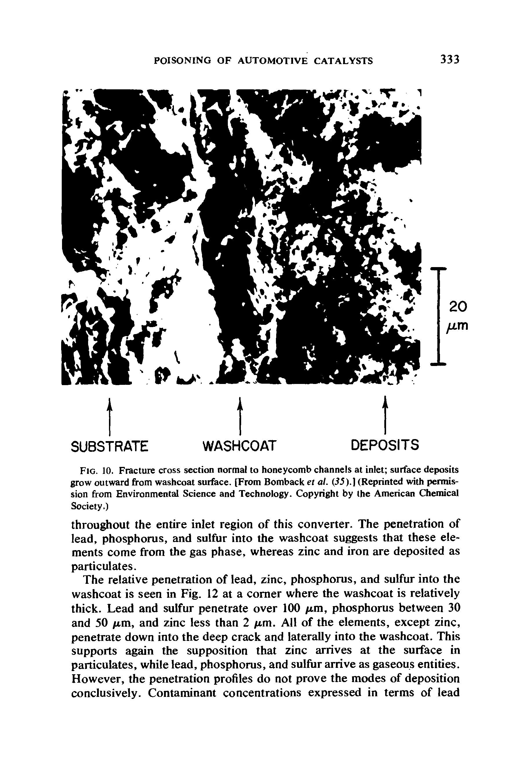 Fig. 10. Fracture cross section normal to honeycomb channels at inlet surface deposits grow outward from washcoat surface. [From Bomback et al. (35).] (Reprinted with permission from Environmental Science and Technology. Copyright by the American Chemical Society.)...