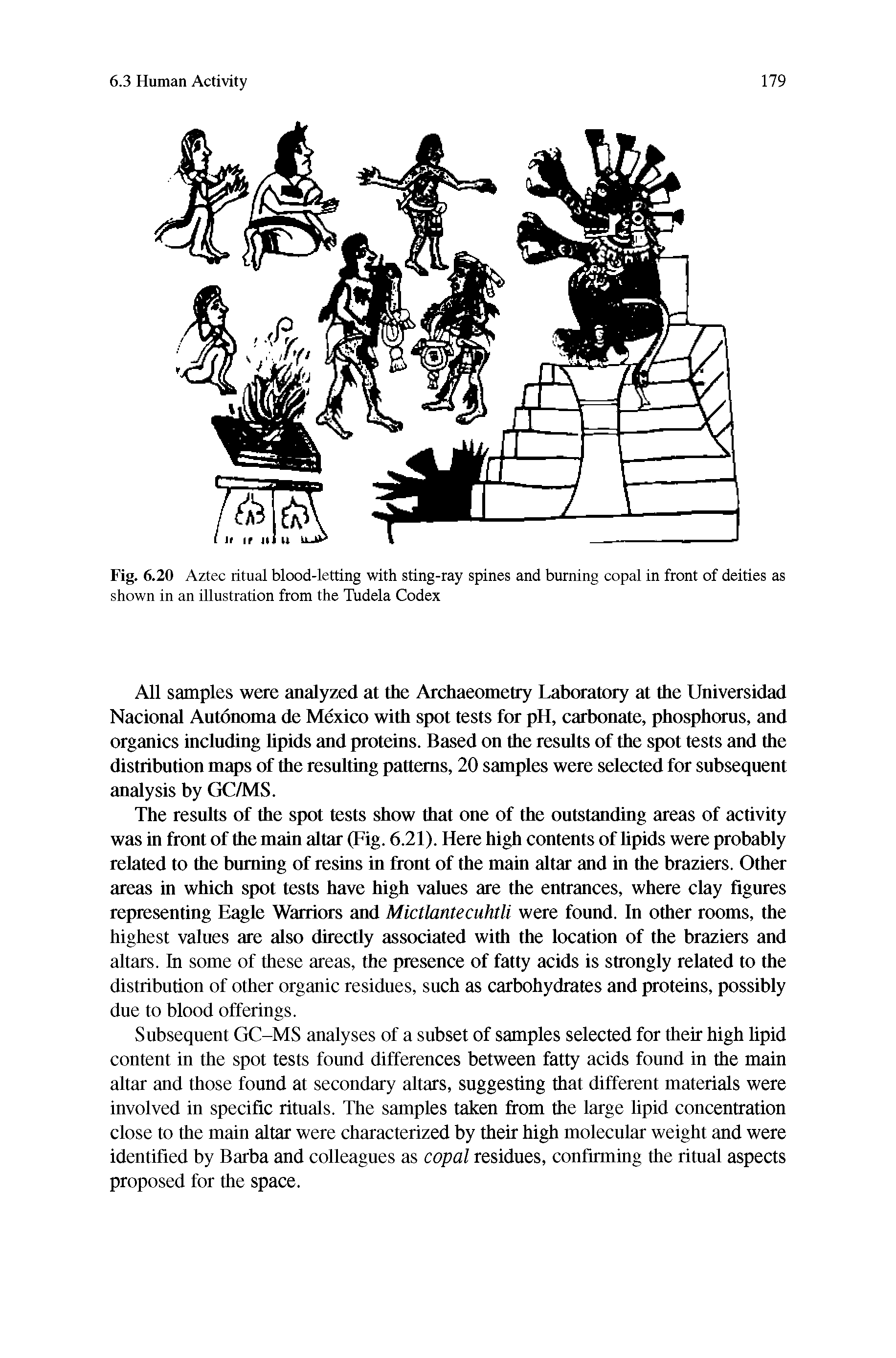 Fig. 6.20 Aztec ritual blood-letting with sting-ray spines and burning copal in front of deities as shown in an illustration from the Tudela Codex...