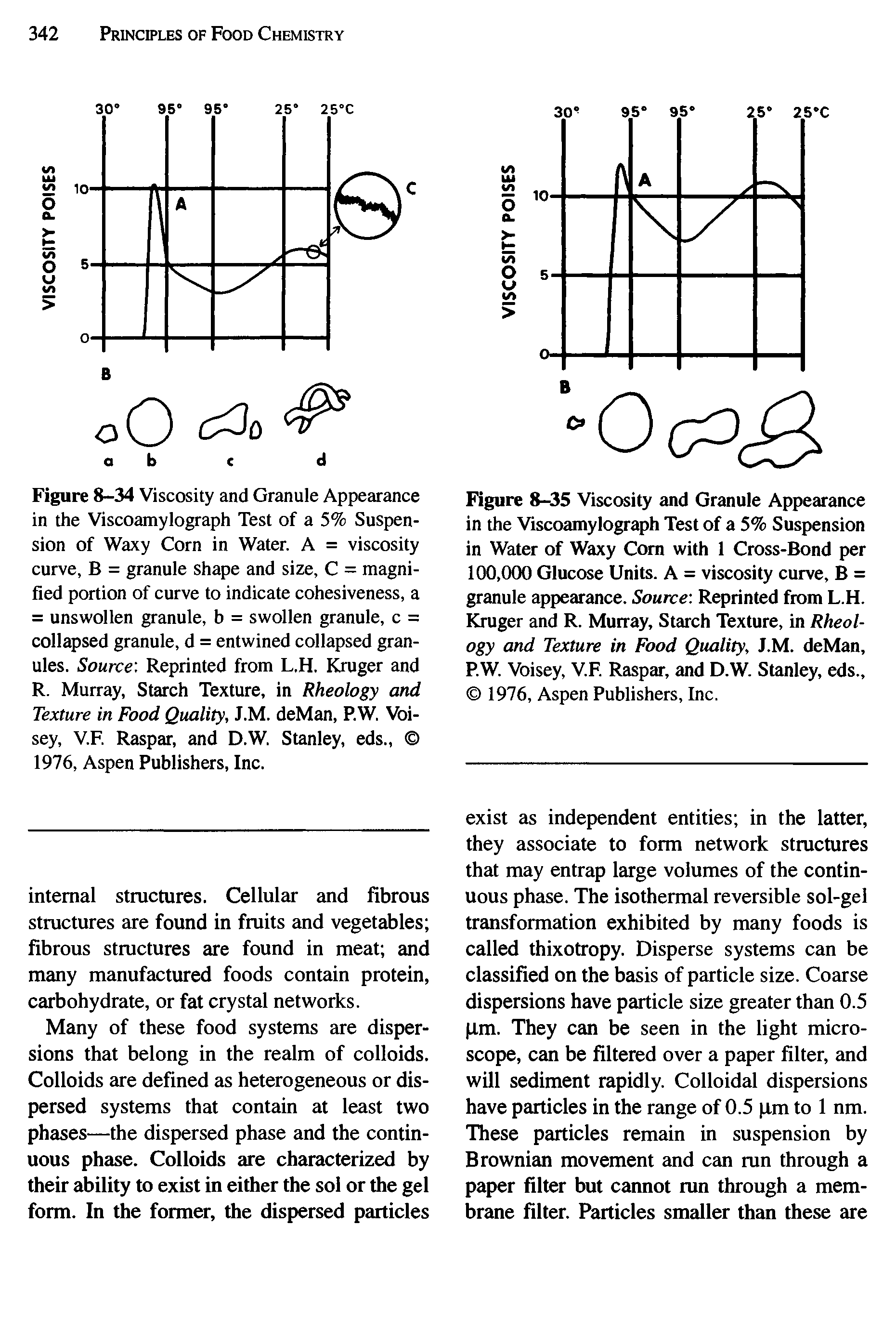 Figure 8-35 Viscosity and Granule Appearance in the Viscoamylograph Test of a 5% Suspension in Water of Waxy Corn with 1 Cross-Bond per 100,000 Glucose Units. A = viscosity curve, B = granule appearance. Source Reprinted from L.H. Kruger and R. Murray, Starch Texture, in Rheology and Texture in Food Quality, J.M. deMan, P.W. Voisey, V.F. Raspar, and D.W. Stanley, eds., 1976, Aspen Publishers, Inc.