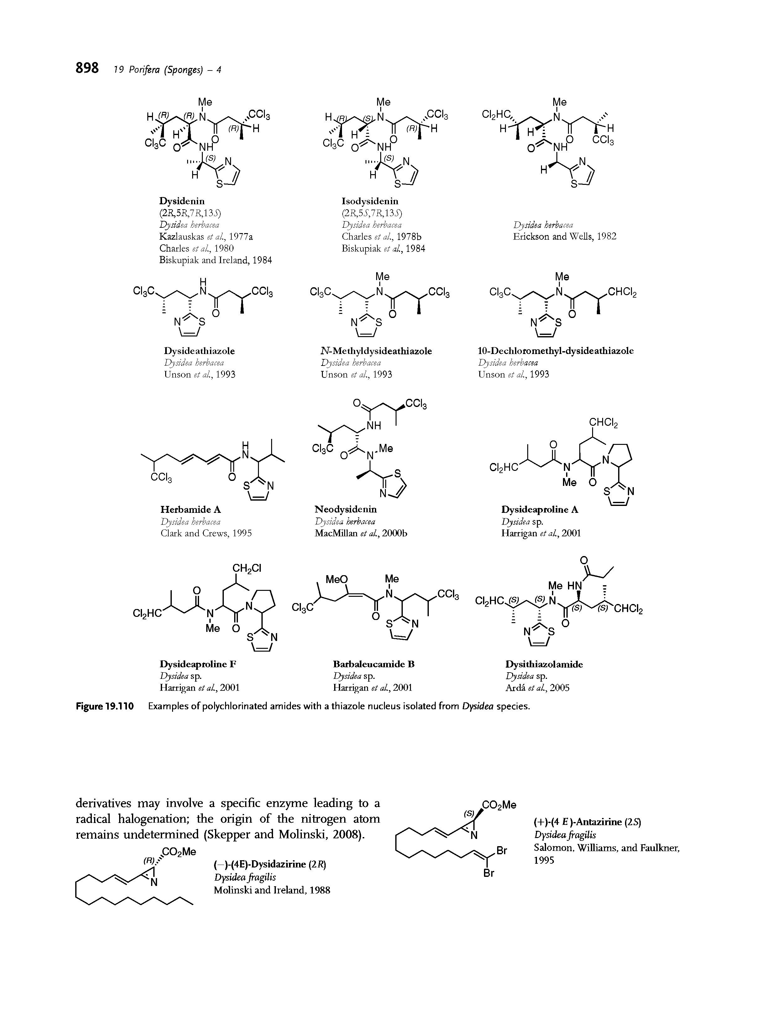 Figure 19.110 Examples of polychlorinated amides with a thiazole nucleus isolated from Dysidea species.