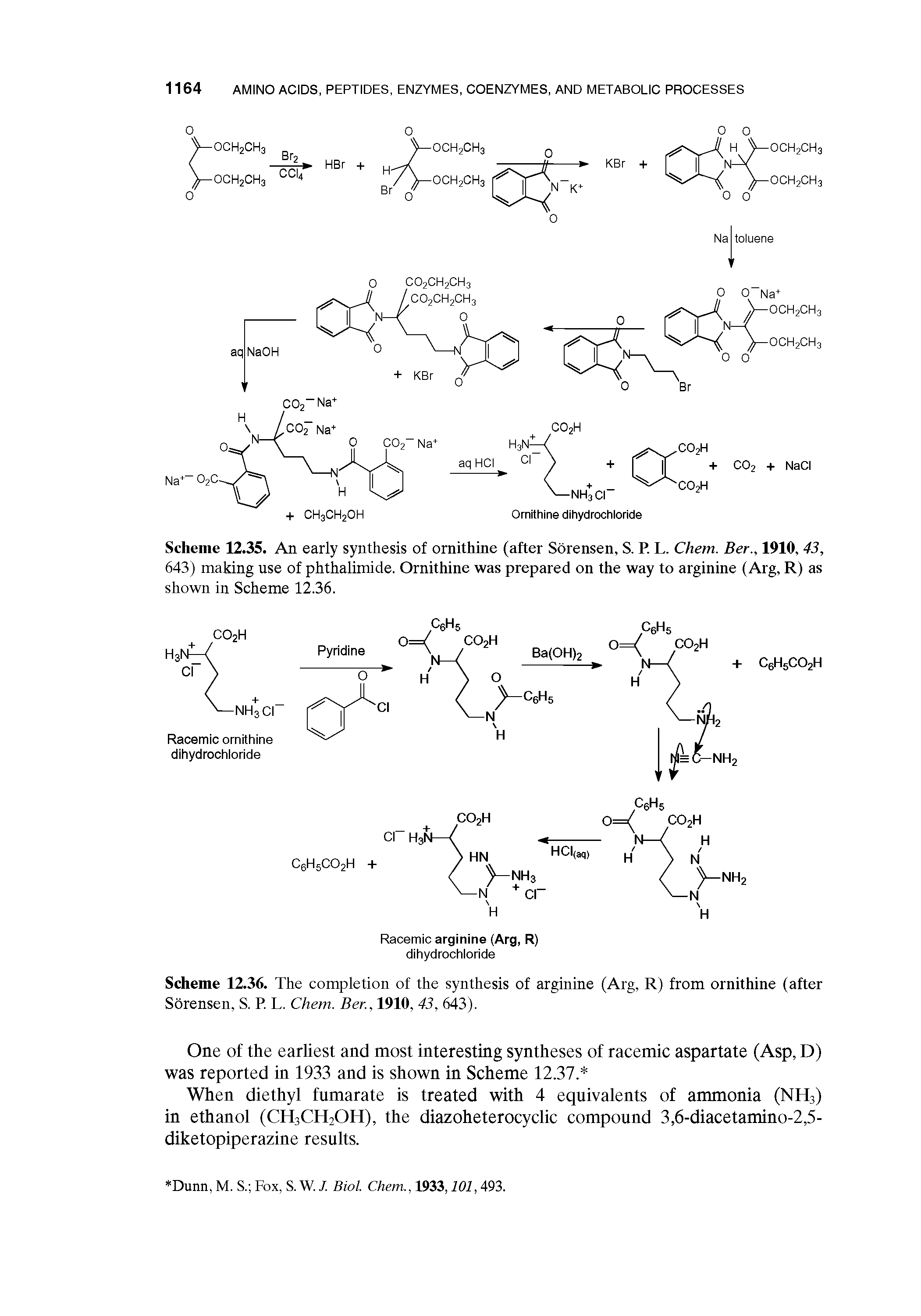 Scheme 12.35. An early synthesis of ornithine (after Sorensen, S. P. L. Chem. Ber.y 1910,43, 643) making use of phthalimide. Ornithine was prepared on the way to arginine (Arg, R) as shown in Scheme 12.36.