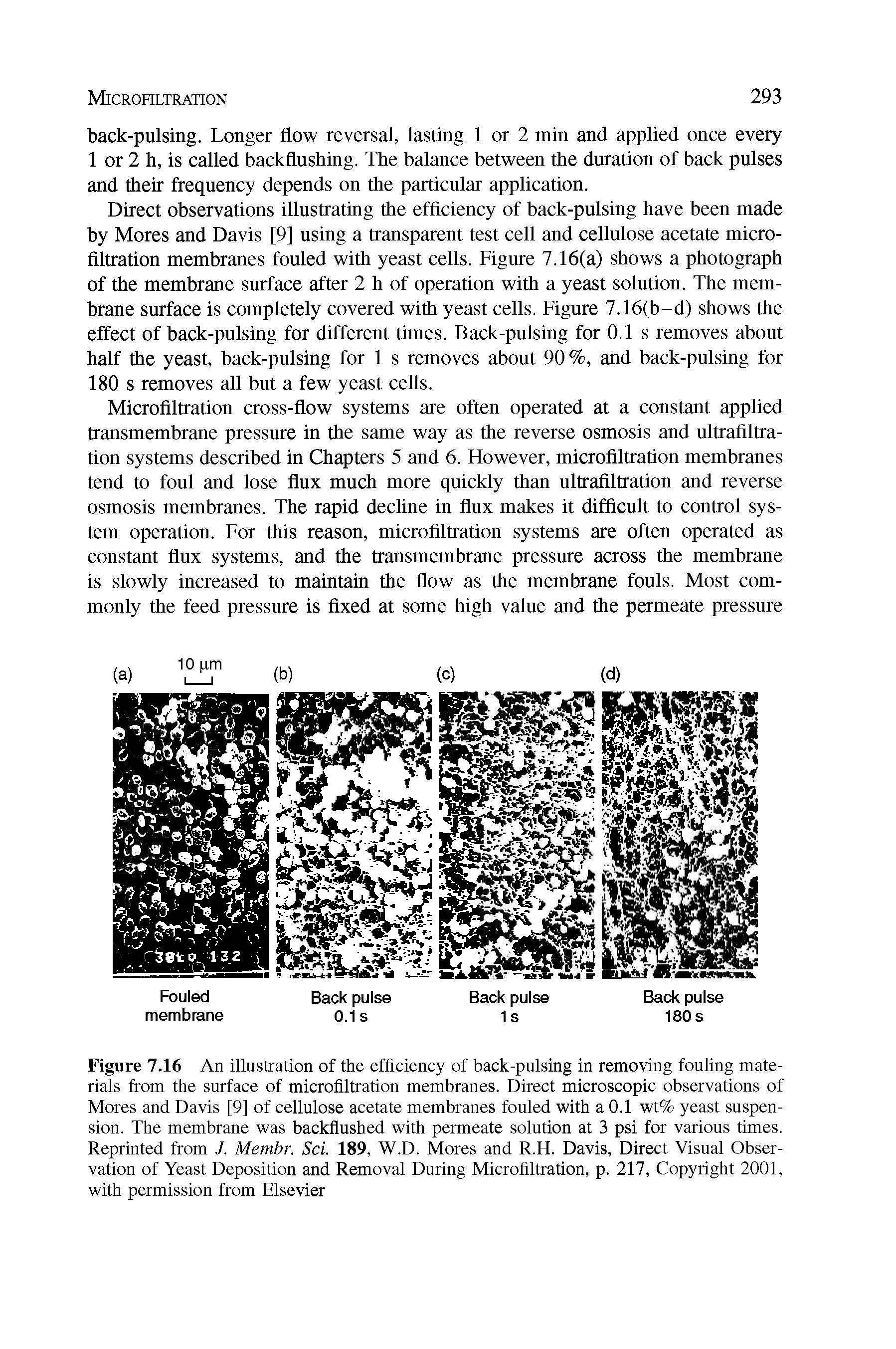 Figure 7.16 An illustration of the efficiency of back-pulsing in removing fouling materials from the surface of microfiltration membranes. Direct microscopic observations of Mores and Davis [9] of cellulose acetate membranes fouled with a 0.1 wt% yeast suspension. The membrane was backflushed with permeate solution at 3 psi for various times. Reprinted from J. Membr. Sci. 189, W.D. Mores and R.H. Davis, Direct Visual Observation of Yeast Deposition and Removal During Microfiltration, p. 217, Copyright 2001, with permission from Elsevier...