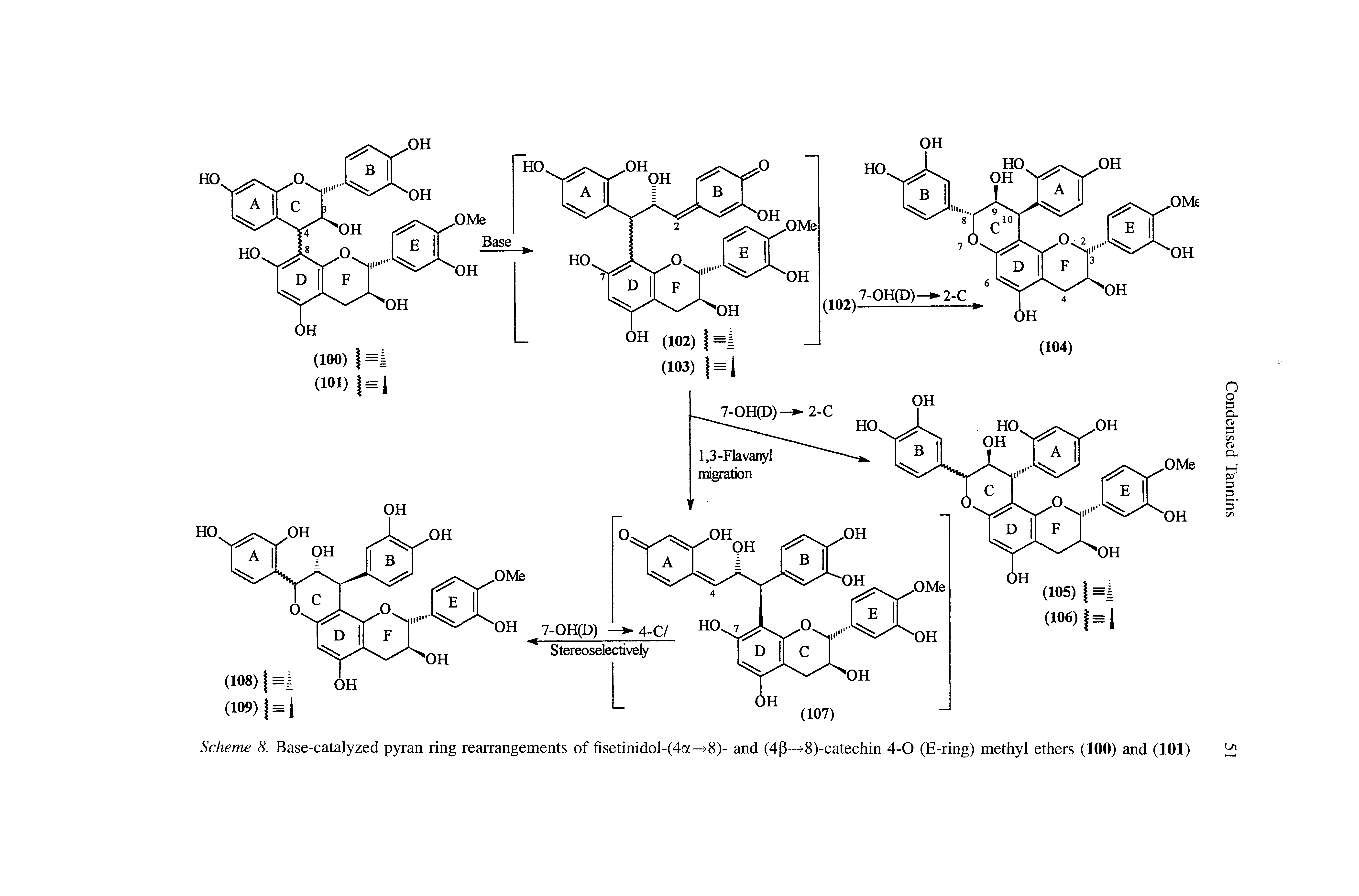 Scheme 8. Base-catalyzed pyran ring rearrangements of fisetinidol-(4a—>8)- and (4p— 8)-catechin 4-0 (E-ring) methyl ethers (100) and (101) ] 1...