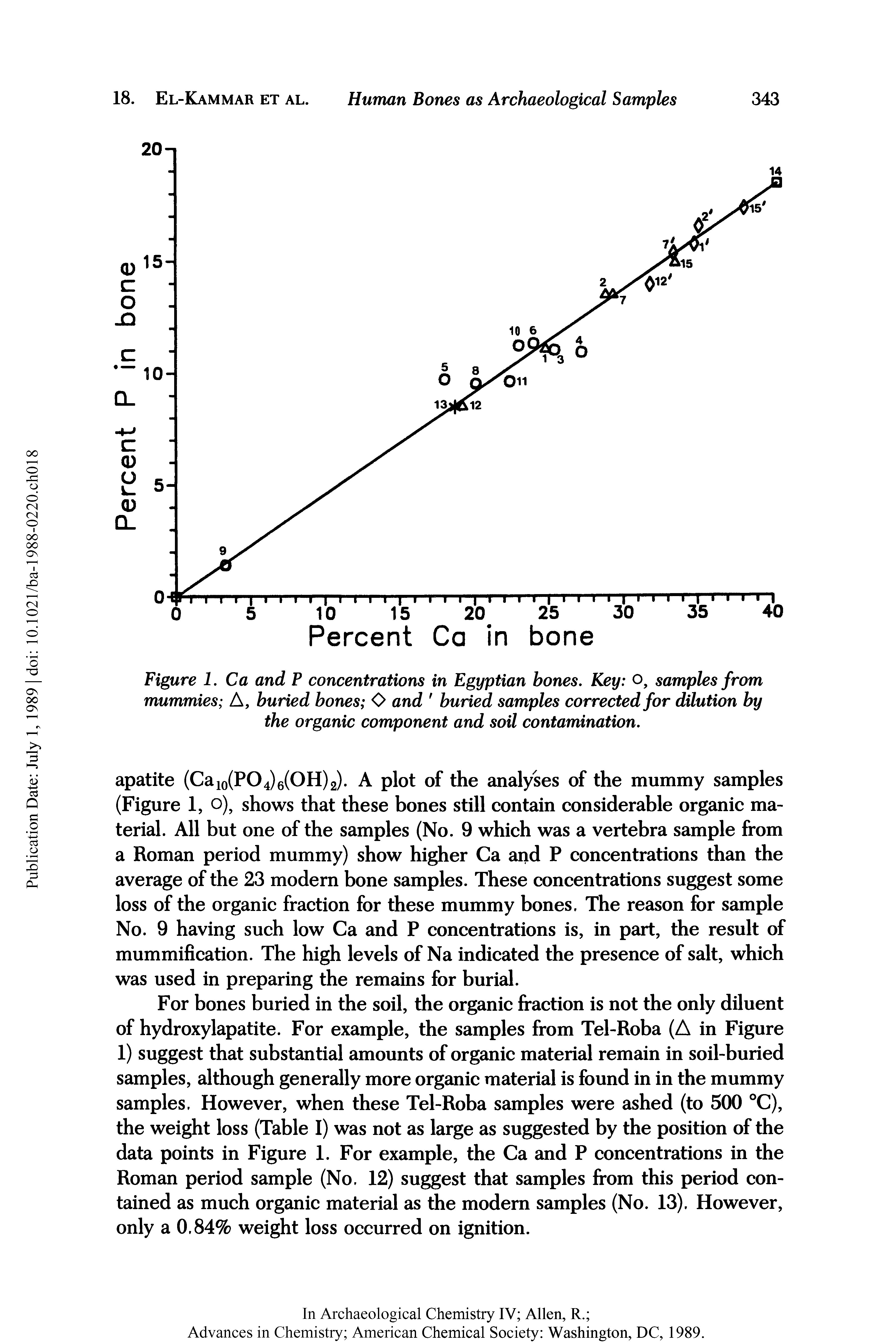 Figure 1. Ca and P concentrations in Egyptian bones. Key o, samples from mummies A, buried bones O and buried samples corrected for dilution by the organic component and soil contamination.