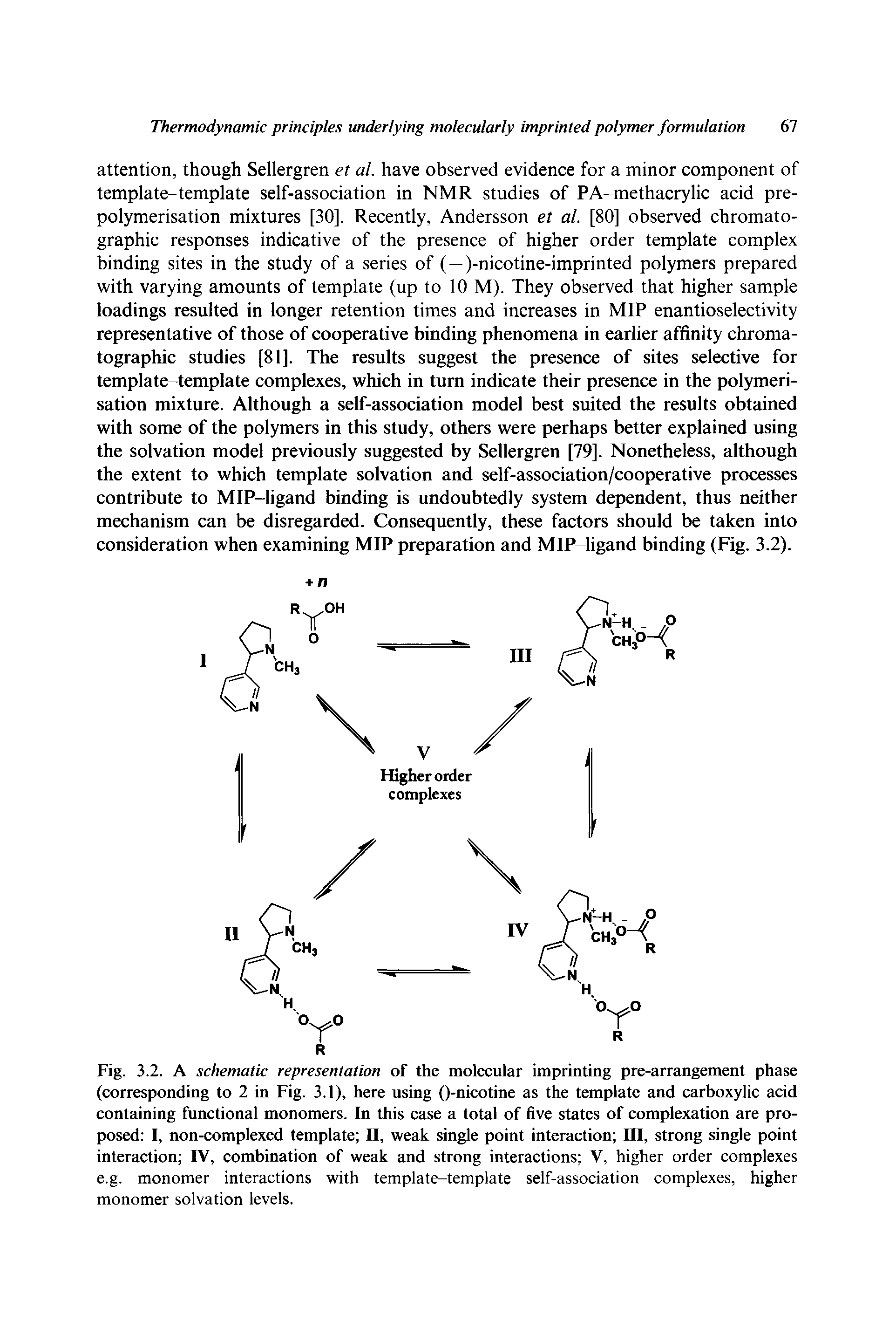 Fig. 3.2. A schematic representation of the molecular imprinting pre-arrangement phase (corresponding to 2 in Fig. 3.1), here using ()-nicotine as the template and carboxylic acid containing functional monomers. In this case a total of five states of complexation are proposed I, non-complexed template II, weak single point interaction III, strong single point interaction IV, combination of weak and strong interactions V, higher order complexes e.g. monomer interactions with template-template self-association complexes, higher monomer solvation levels.