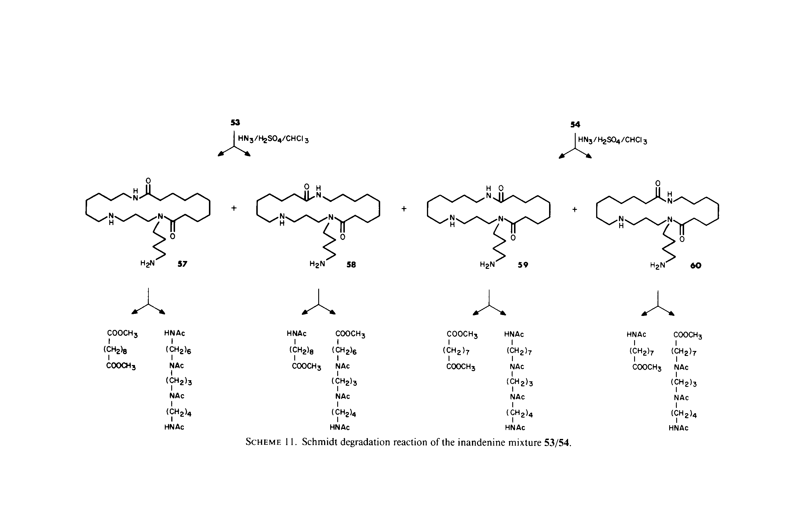 Scheme 11. Schmidt degradation reaction of the inandenine mixture 53/54.