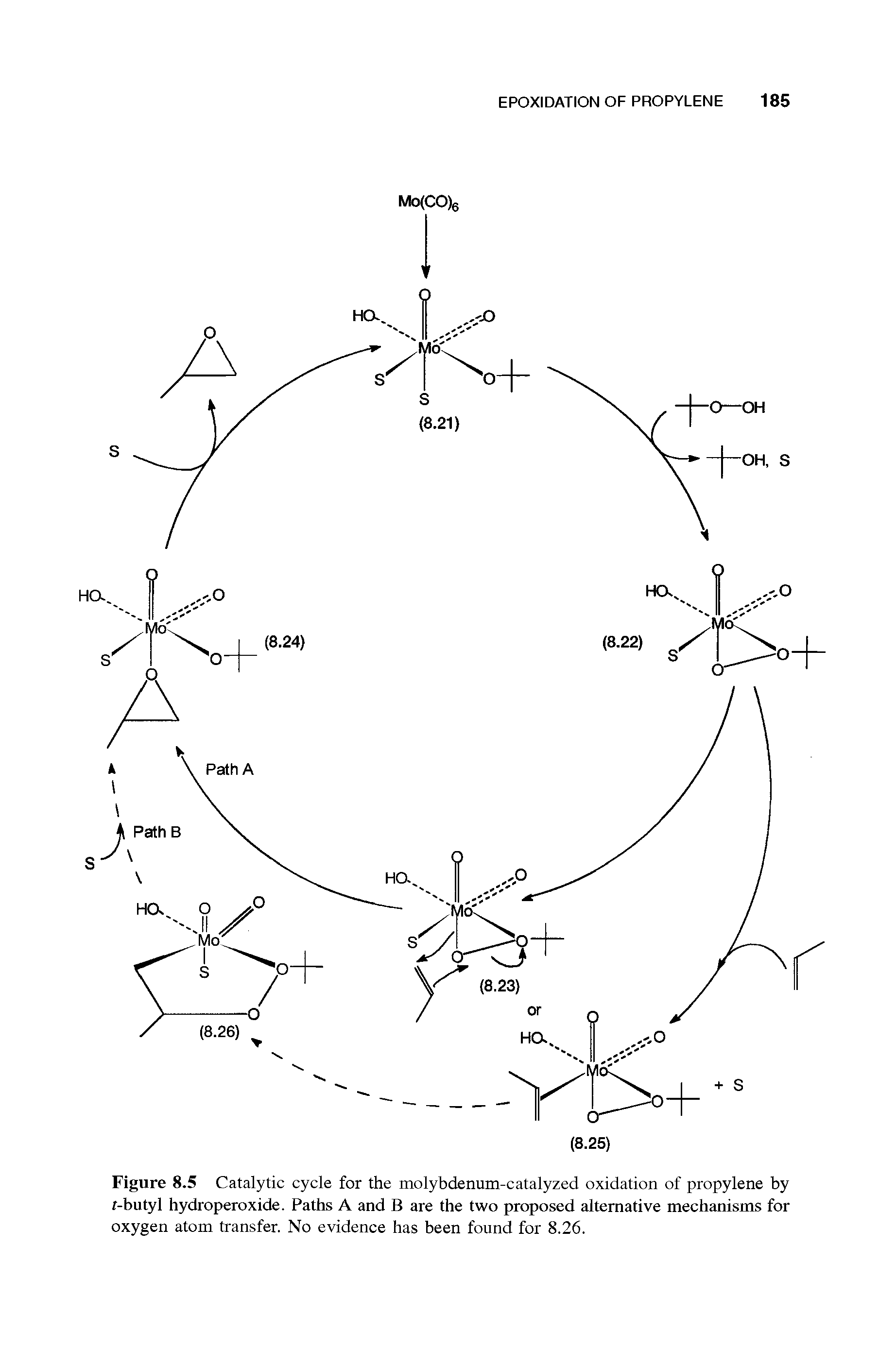 Figure 8.5 Catalytic cycle for the molybdenum-catalyzed oxidation of propylene by r-butyl hydroperoxide. Paths A and B are the two proposed alternative mechanisms for oxygen atom transfer. No evidence has been found for 8.26.