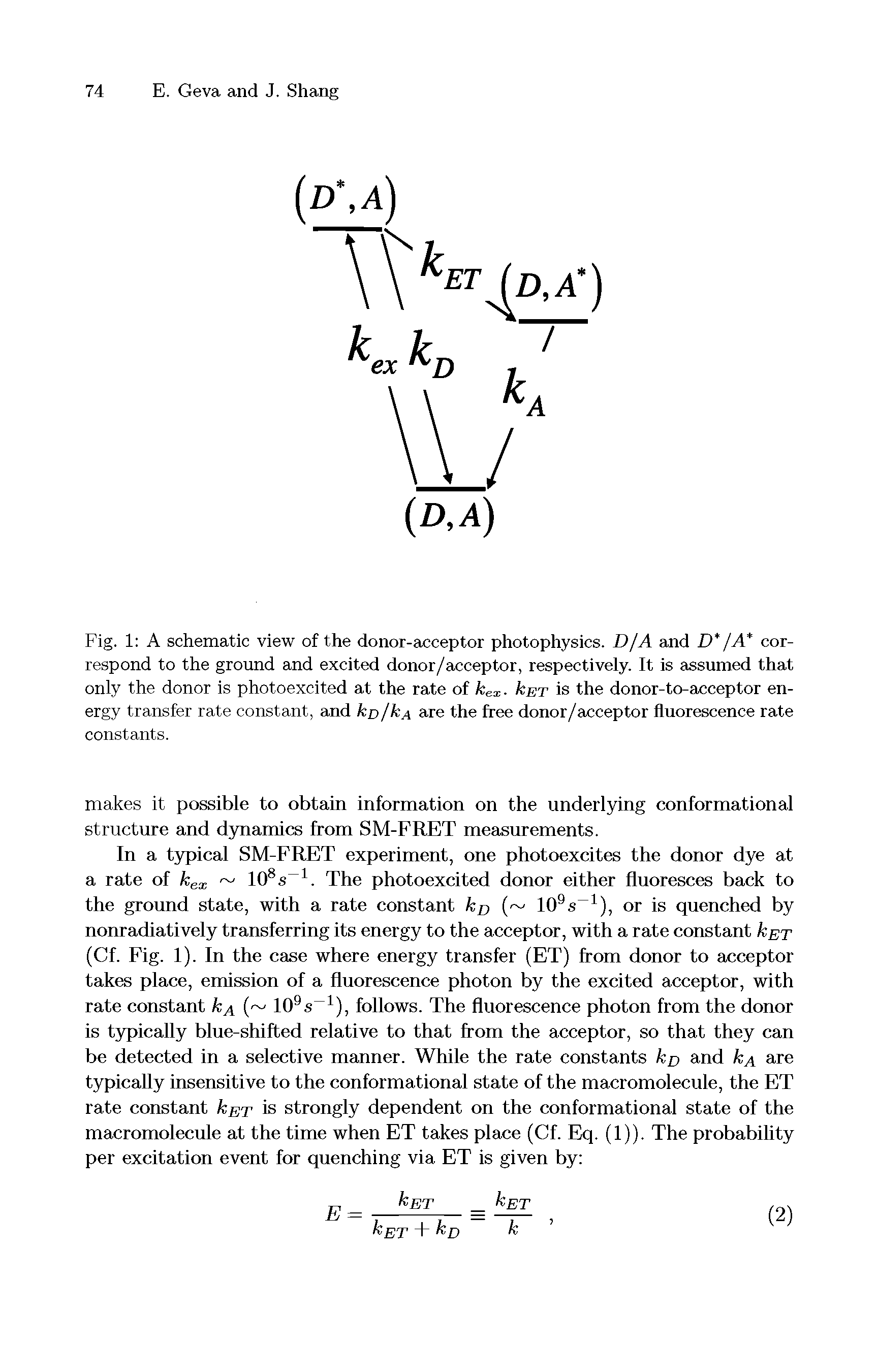 Fig. 1 A schematic view of the donor-acceptor photophysics. D/A and D /A correspond to the ground and excited donor/acceptor, respectively. It is assumed that only the donor is photoexcited at the rate of k X. Icet is the donor-to-acceptor energy transfer rate constant, and ko/kA are the free donor/acceptor fluorescence rate constants.