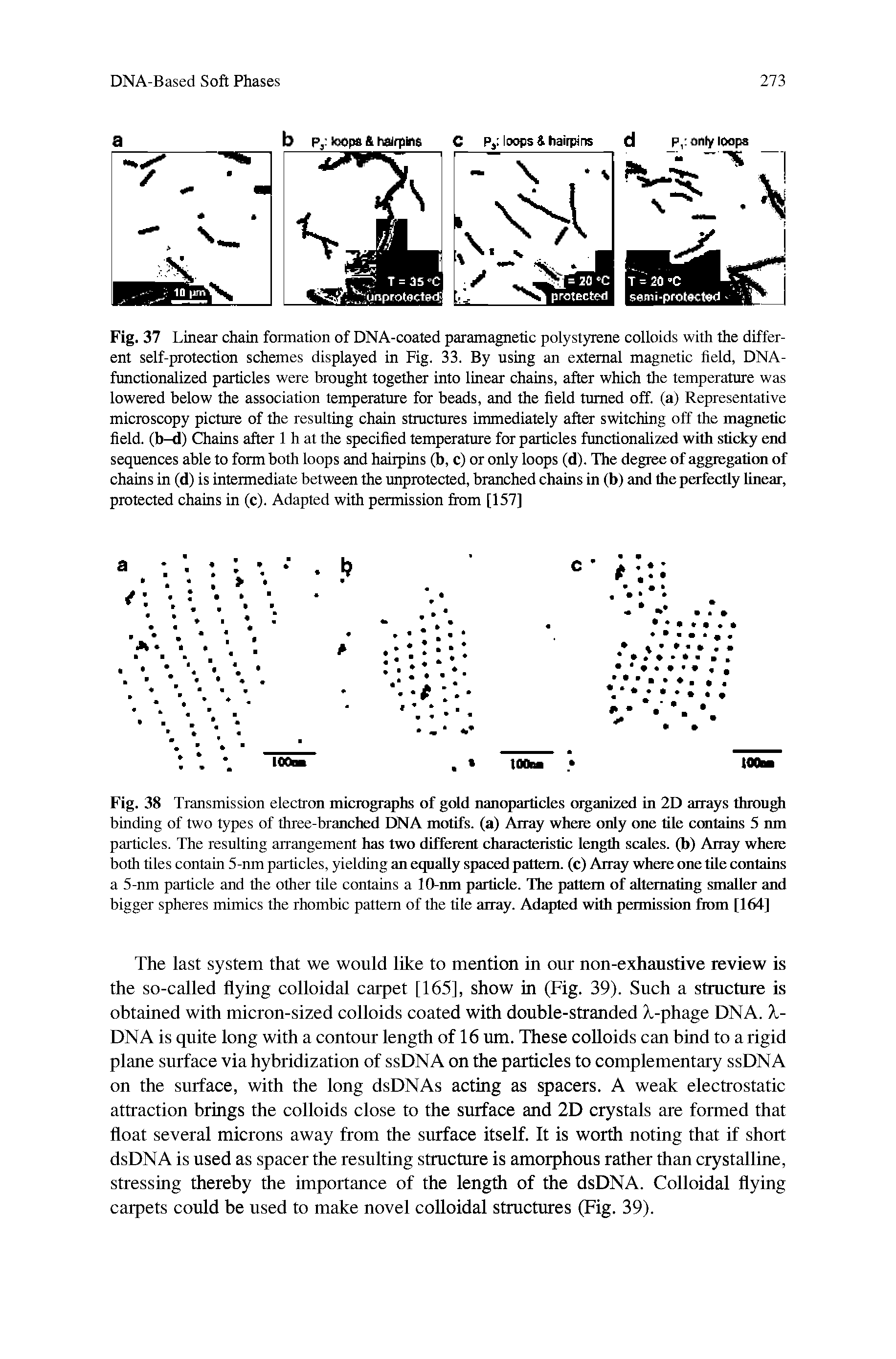 Fig. 37 Linear chain formation of DNA-coated paramagnetic polystyrene colloids with the different self-protection schemes displayed in Fig. 33. By using an external magnetic field, DNA-functionalized particles were brought together into linear chains, after which the temperature was lowered below the association temperature for beads, and the field turned off. (a) Representative microscopy picture of the resulting chain structures immediately after switching off the magnetic field, (b-d) Chains after 1 h at the specified temperature for particles functionalized with sticky end sequences able to form both loops and hairpins (b, c) or only loops (d). The degree of aggregation of chains in (d) is intermediate between the unprotected, branched chains in (b) and the perfectly linear, protected chains in (c). Adapted with permission from [157]...