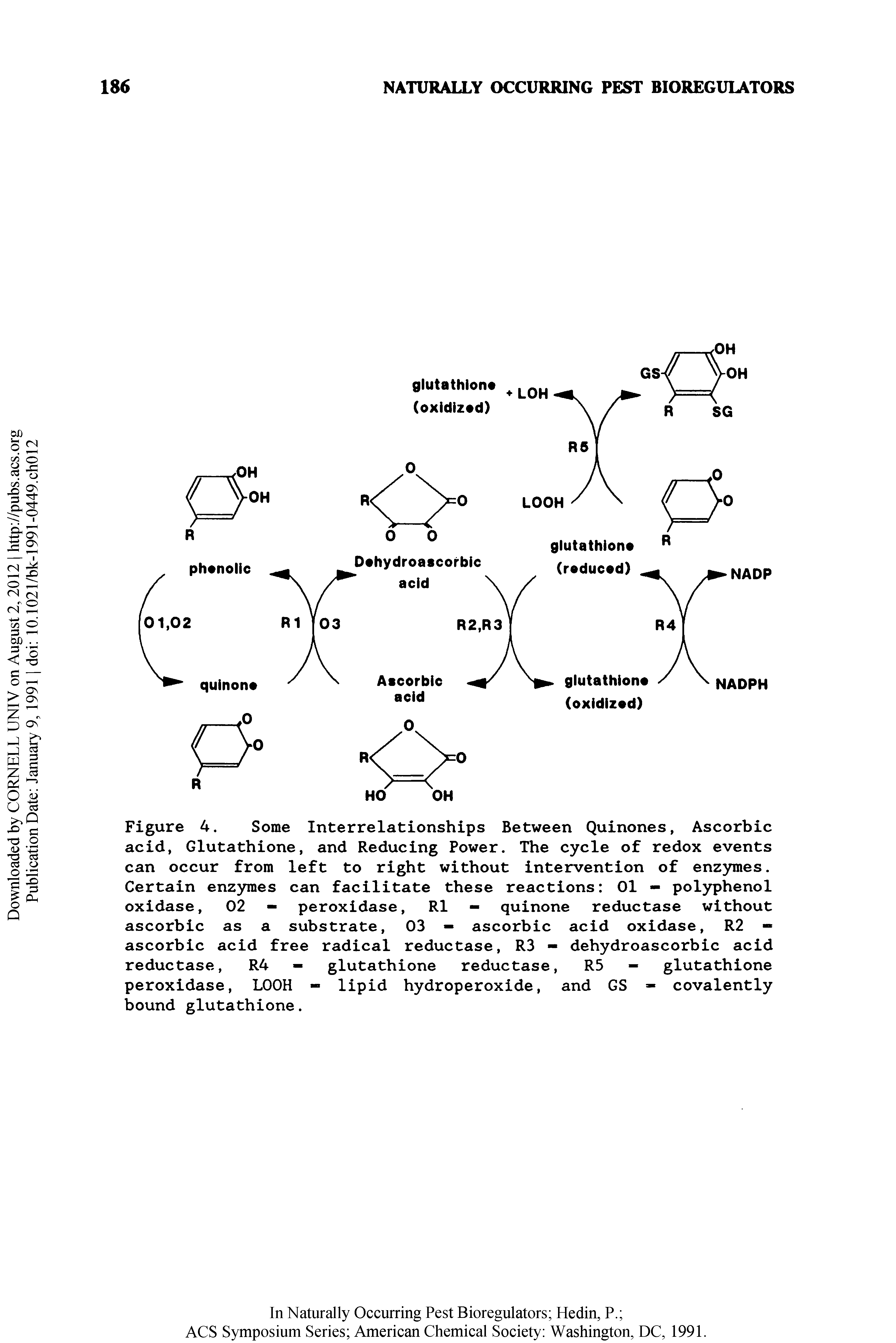 Figure 4. Some Interrelationships Between Quinones, Ascorbic acid, Glutathione, and Reducing Power. The cycle of redox events can occur from left to right without intervention of enzymes. Certain enz3rmes can facilitate these reactions 01 - polyphenol oxidase, 02 - peroxidase, R1 - quinone reductase without...