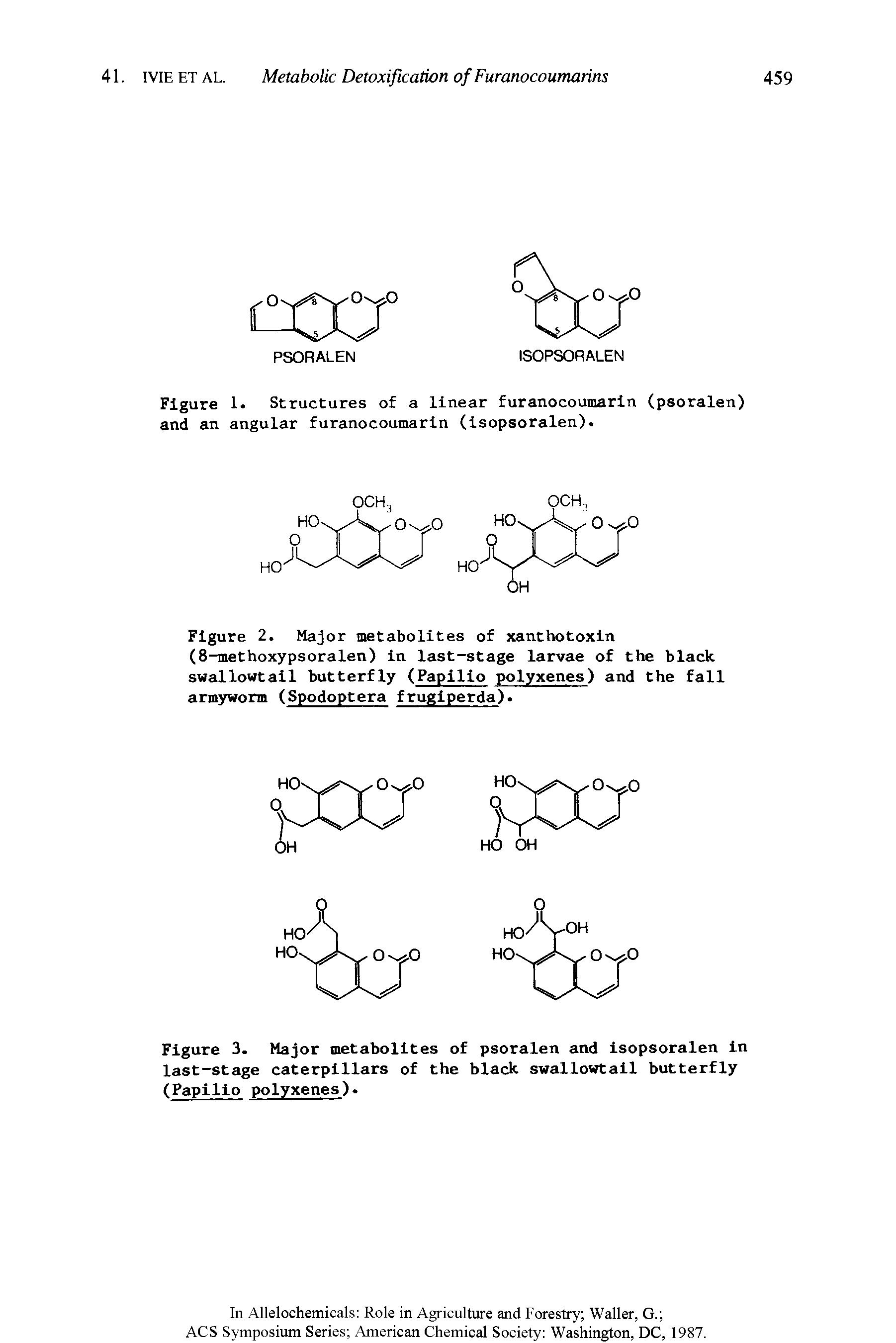 Figure 2. Major metabolites of xanthotoxin (8-methoxypsoralen) in last-stage larvae of the black swallowtail butterfly (Papilio polyxenes) and the fall armyworm (Spodoptera frugiperda).