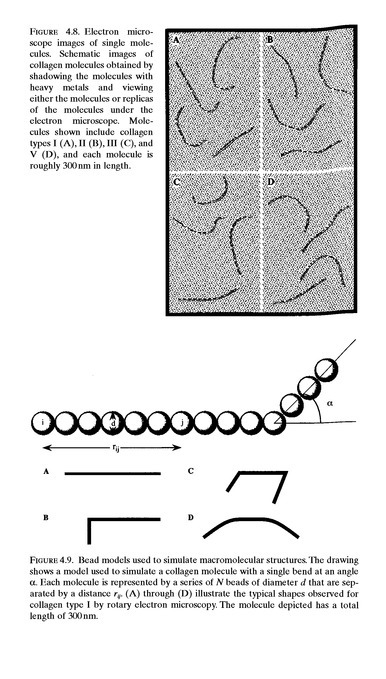 Figure 4.9. Bead models used to simulate macromolecular structures. The drawing shows a model used to simulate a collagen molecule with a single bend at an angle a. Each molecule is represented by a series of N beads of diameter d that are separated by a distance rv. (A) through (D) illustrate the typical shapes observed for collagen type I by rotary electron microscopy. The molecule depicted has a total length of 300 nm.