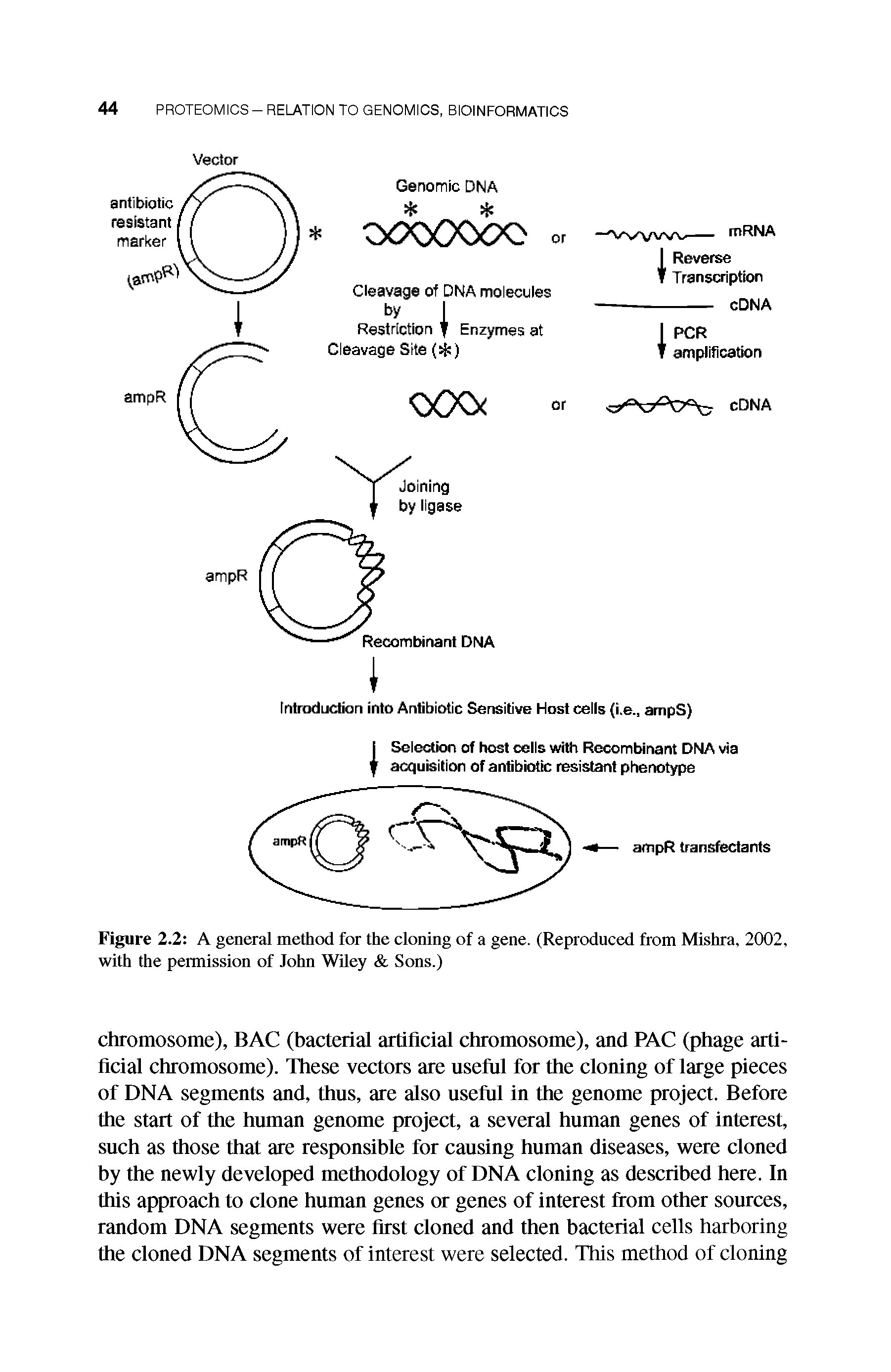 Figure 2.2 A general method for the cloning of a gene. (Reproduced from Mishra, 2002, with the permission of John Wiley Sons.)...