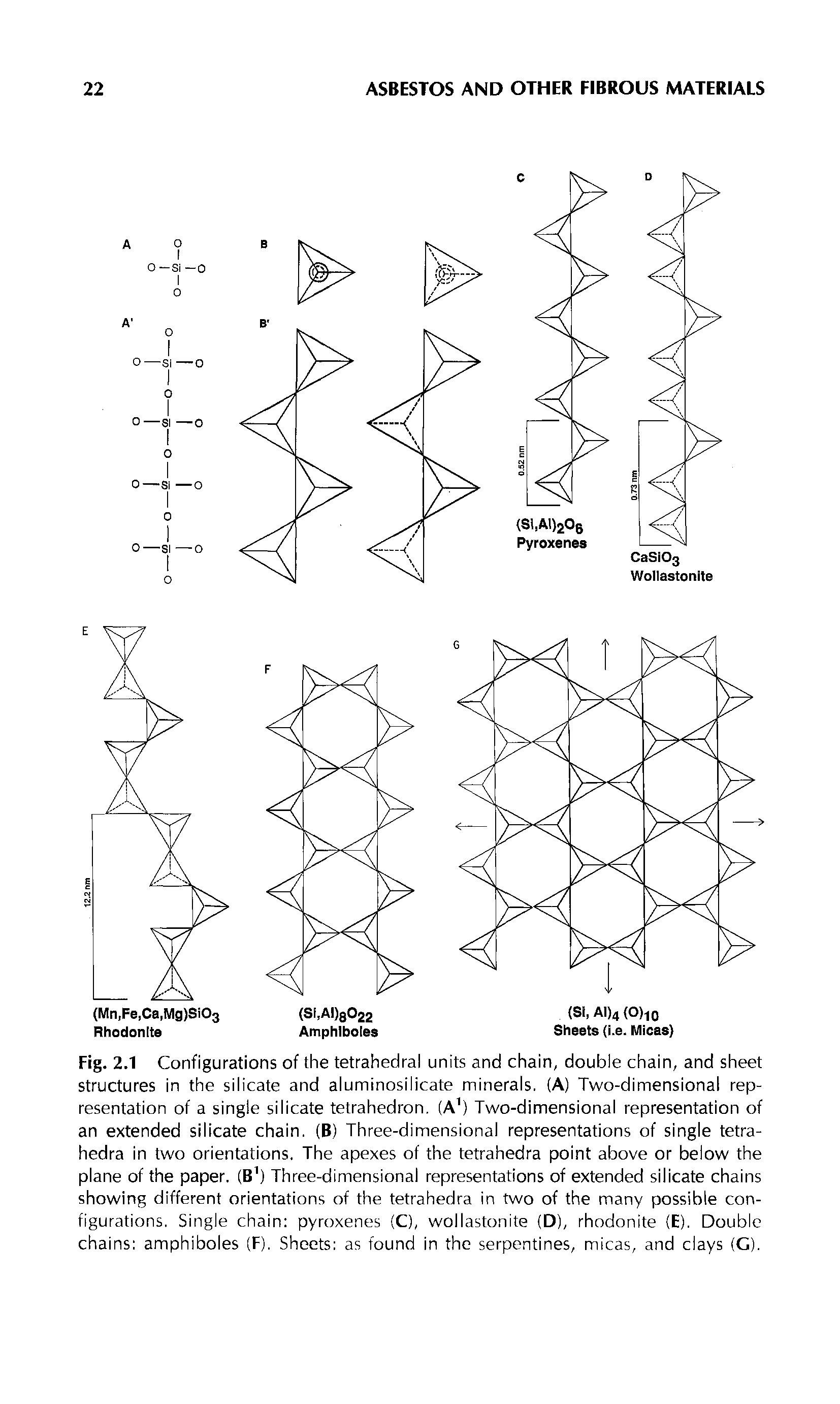 Fig. 2.1 Configurations of the tetrahedral units and chain, double chain, and sheet structures in the silicate and aluminosilicate minerals. (A) Two-dimensional representation of a single silicate tetrahedron. (A ) Two-dimensional representation of an extended silicate chain. (B) Three-dimensional representations of single tetra-hedra in two orientations. The apexes of the tetrahedra point above or below the plane of the paper. (B ) Three-dimensional representations of extended silicate chains showing different orientations of the tetrahedra in two of the many possible configurations. Single chain pyroxenes (C), wollastonite (D), rhodonite (E). Double chains amphiboles (F). Sheets as found in the serpentines, micas, and clays (G).