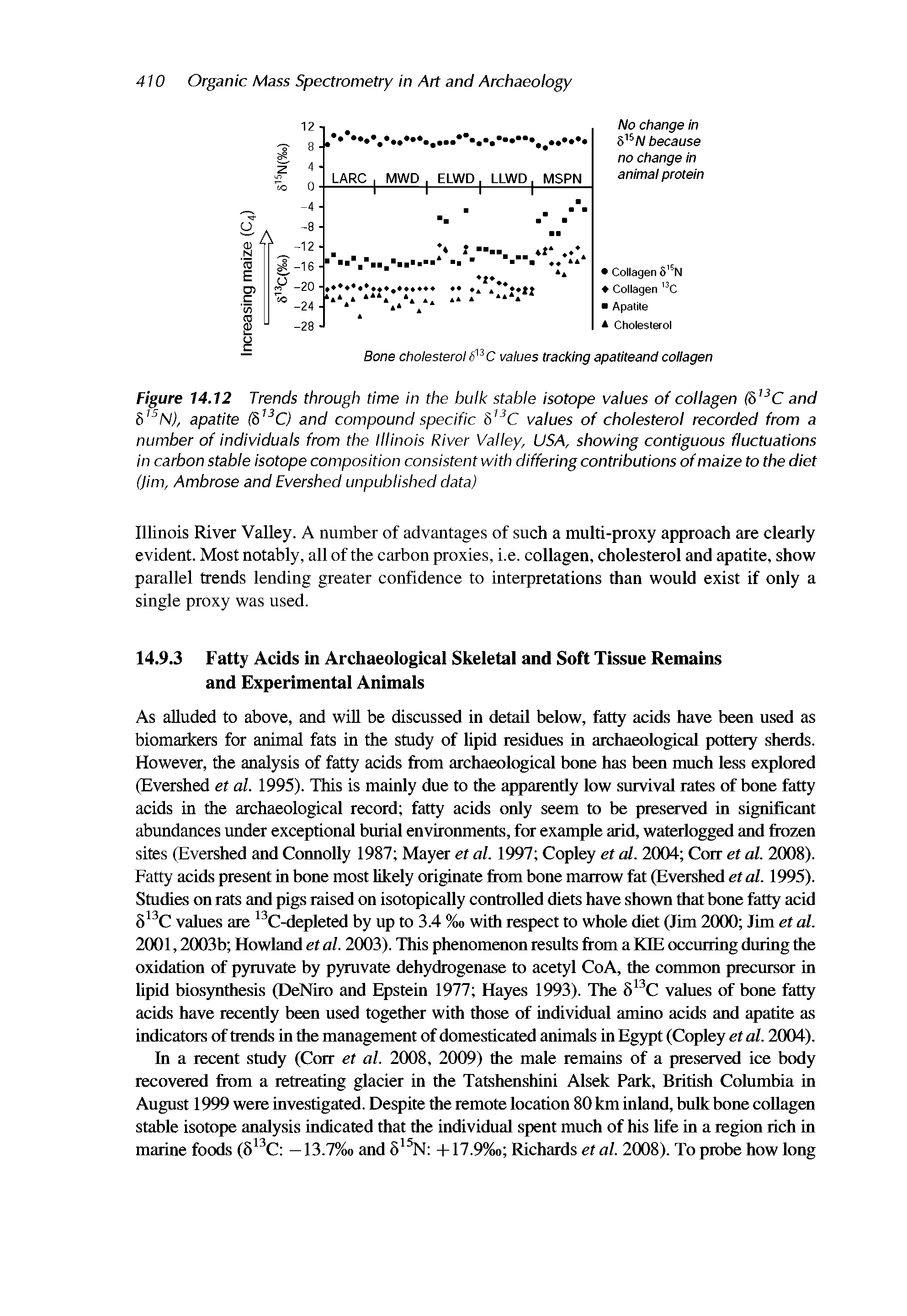 Figure 14.12 Trends through time in the bulk stable isotope values of collagen (6I3C and 815N), apatite ( 13C) and compound specific 813C values of cholesterol recorded from a number of individuals from the Illinois River Valley, USA, showing contiguous fluctuations in carbon stable isotope composition consistent with differing contributions of maize to the diet (Jim, Ambrose and Evershed unpublished data)...