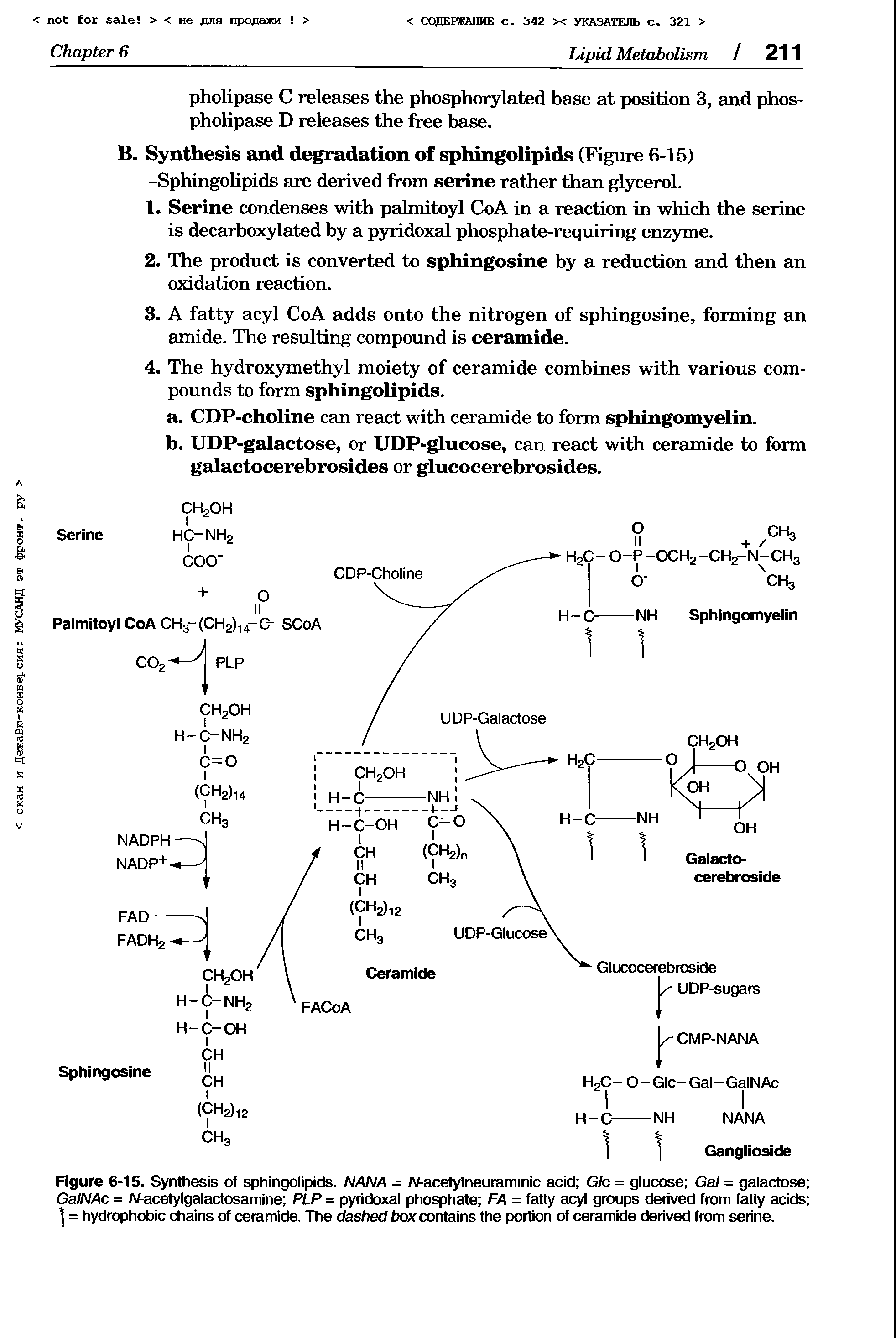 Figure 6-15. Synthesis of sphingolipids. NANA = W-acetylneuraminic acid G/c = glucose Gal = galactose GalNAc = N-acetylgalactosamine PIP = pyridoxal phosphate FA = fatty acyl groups derived from fatty acids = hydrophobic chains of ceramide. The dashed box contains the portion of ceramide derived from serine.