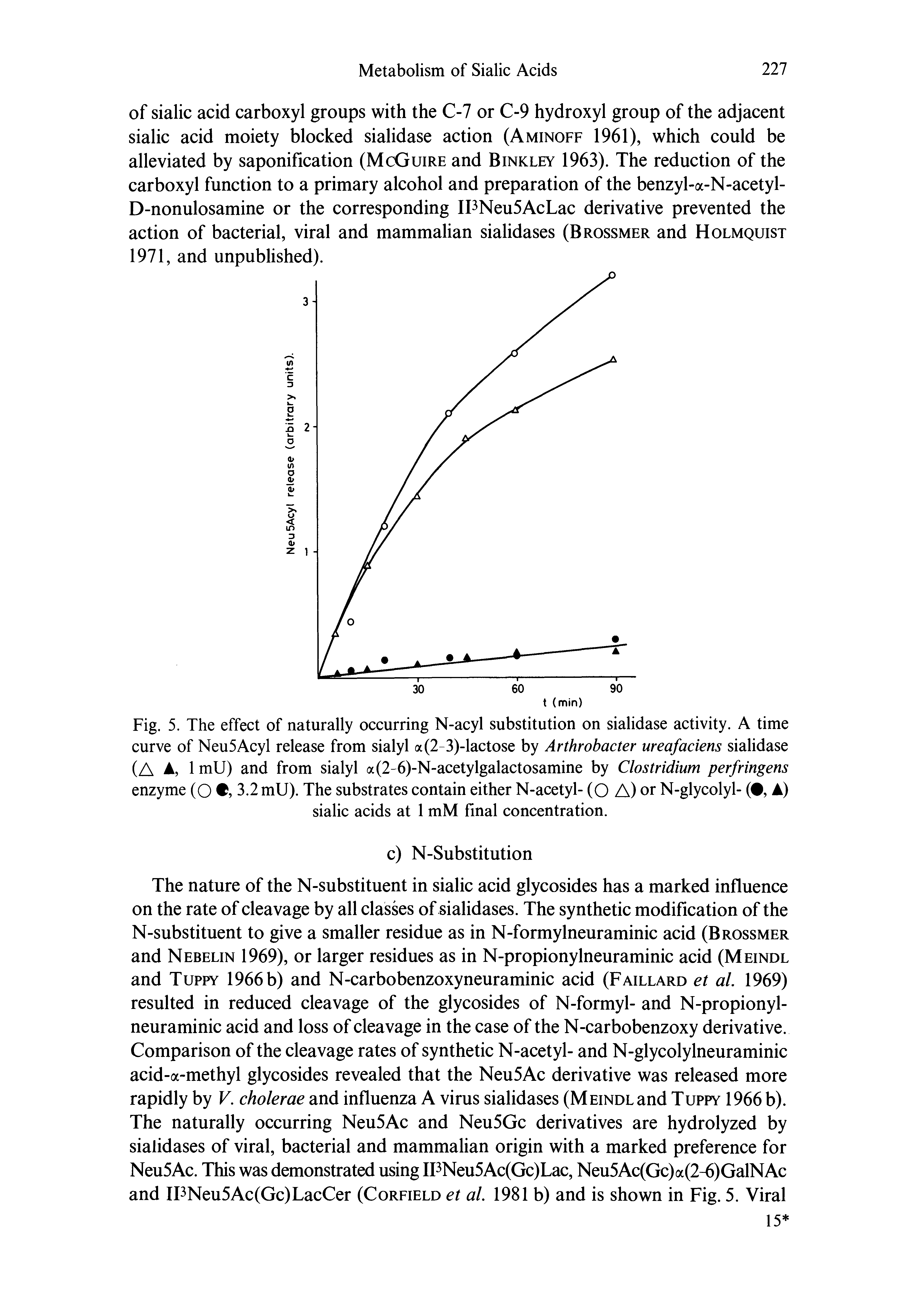 Fig. 5. The effect of naturally occurring N-acyl substitution on sialidase activity. A time curve of Neu5Acyl release from sialyl a(2-3)-lactose by Arthrobacter ureafaciens sialidase (A A, 1 mU) and from sialyl a(2-6)-N-acetylgalactosamine by Clostridium perfringens enzyme (O 3.2 mU). The substrates contain either N-acetyl- (O A) or N-glycolyl- ( , A) sialic acids at 1 mM final concentration.