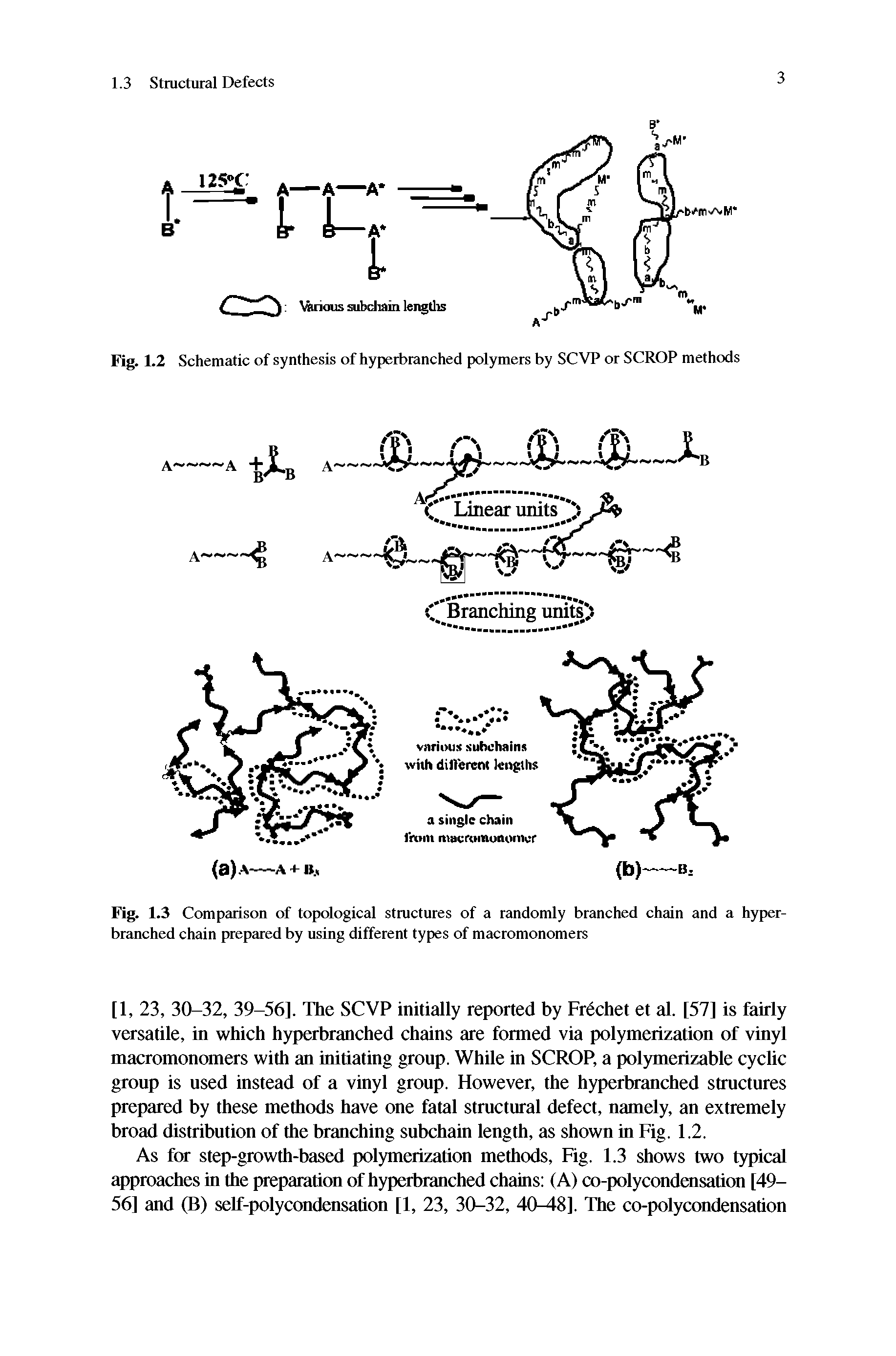 Fig. 1.3 Comparison of topological structures of a randomly branched chain and a hyperbranched chain prepared by using different types of macromonomers...