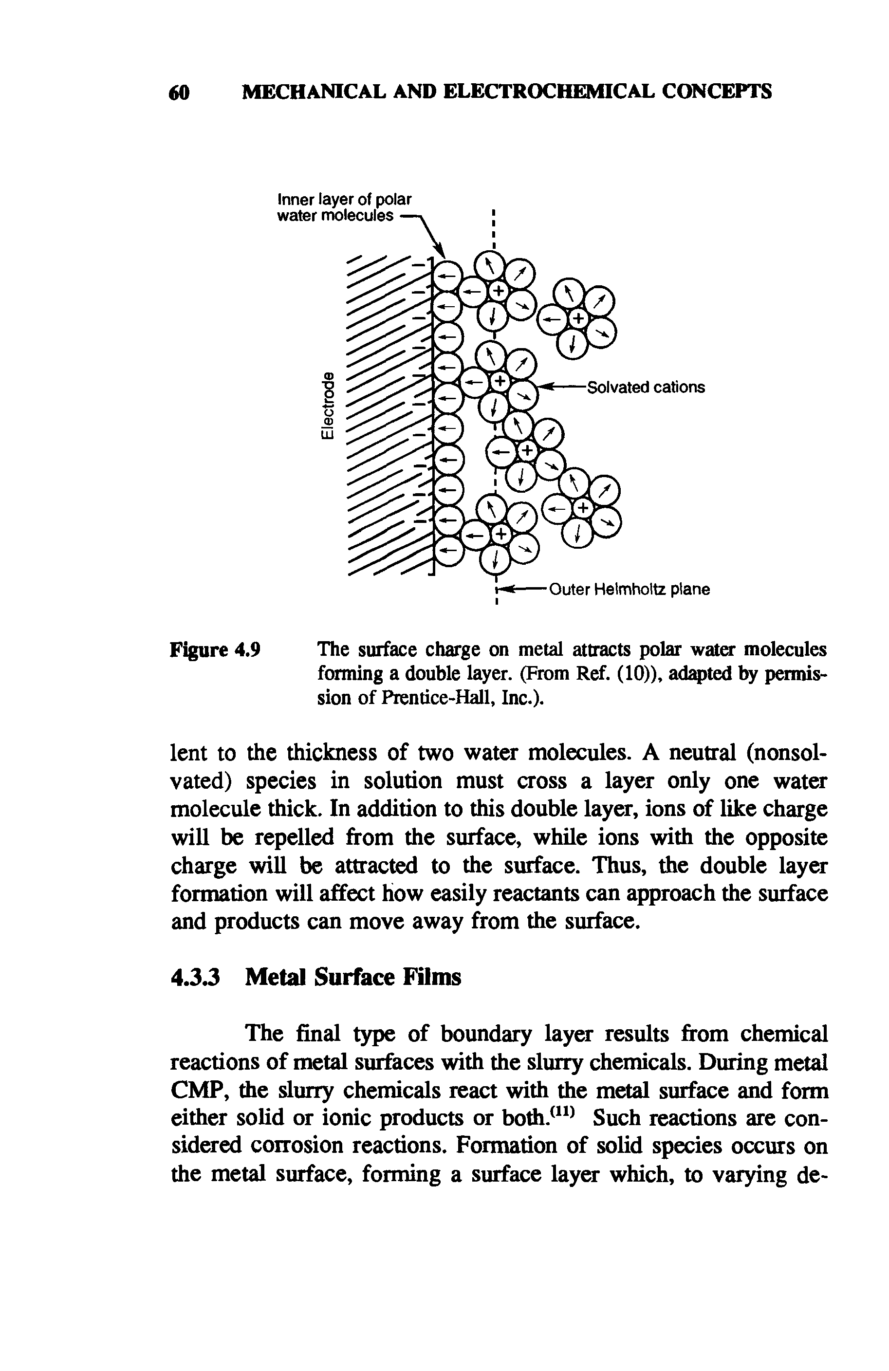 Figure 4.9 The surface charge on metal attracts polar water molecules forming a double layer. (From Ref. (10)), adtq>ted by permission of Prentice-Hall, Inc.).