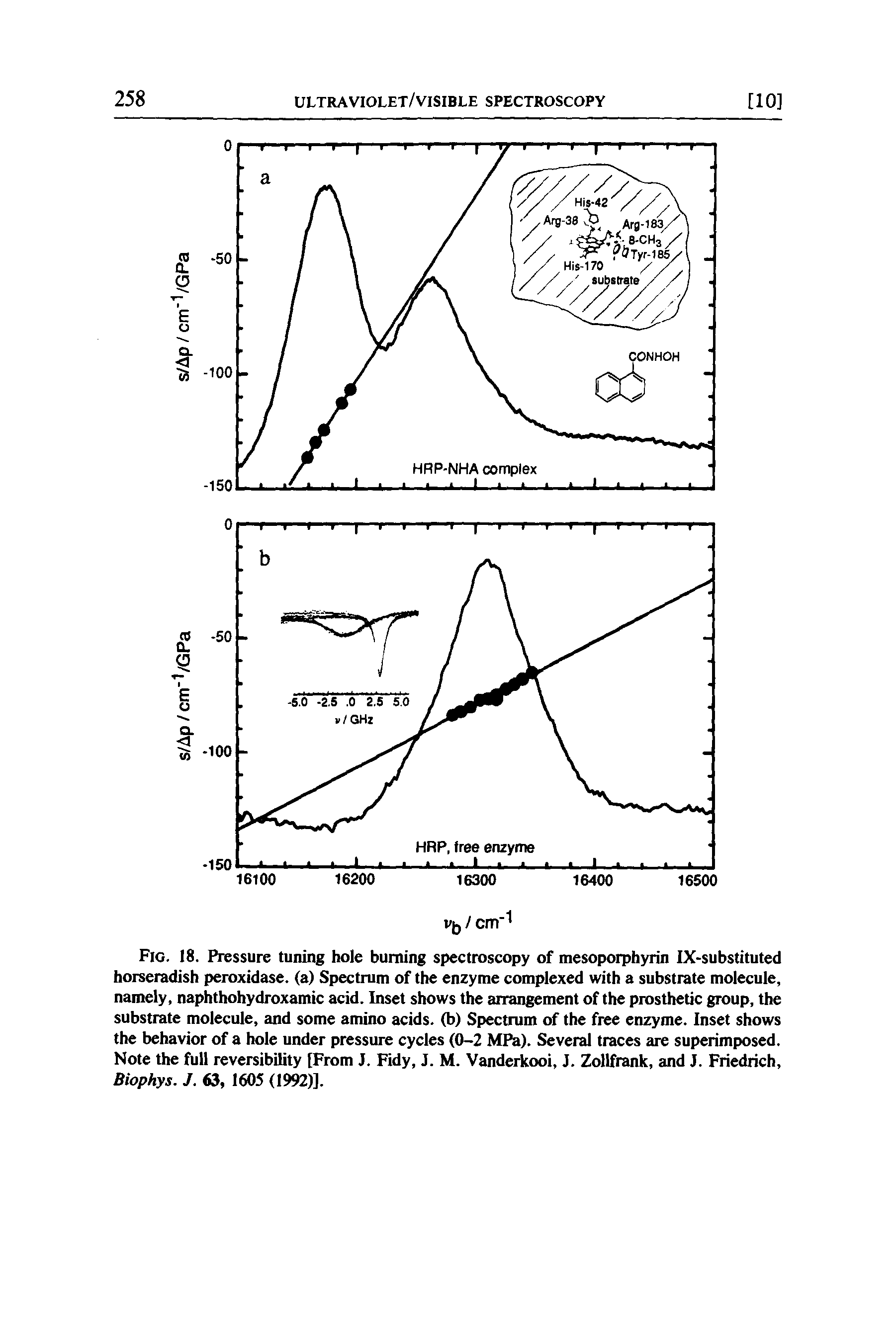 Fig. 18. Pressure tuning hole burning spectroscopy of mesoporphyrin IX-substituted horseradish peroxidase, (a) Spectrum of the enzyme complexed with a substrate molecule, namely, naphthohydroxamic acid. Inset shows the arrangement of the prosthetic group, the substrate molecule, and some amino acids, (b) Spectrum of the free enzyme. Inset shows the behavior of a hole under pressure cycles (0-2 MPa). Several traces are superimposed. Note the full reversibility [From J. Fidy, J. M. Vanderkooi, J. Zollfrank, and J. Friedrich, Biophys. J. 63, 1605 (1992)].