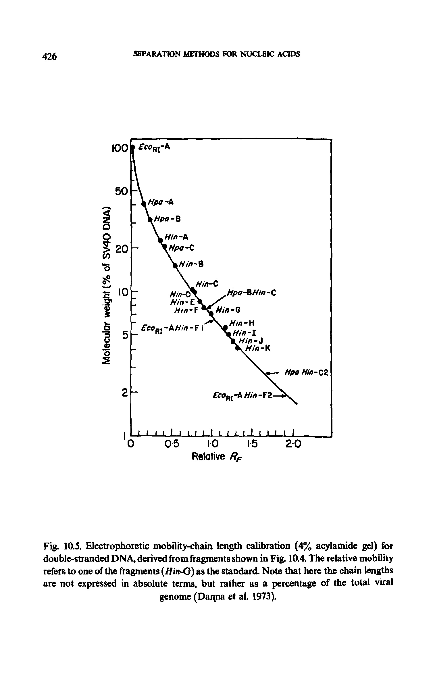 Fig. 10.5. Electrophoretic mobility-chain length calibration (4% acylamide gel) for double-stranded DNA, derived from fragments shown in Fig. 10.4. The relative mobility refers to one of the fragments (if in-G) as the standard. Note that here the chain lengths are not expressed in absolute terms, but rather as a percentage of the total viral genome (Dat na et aL 1973).