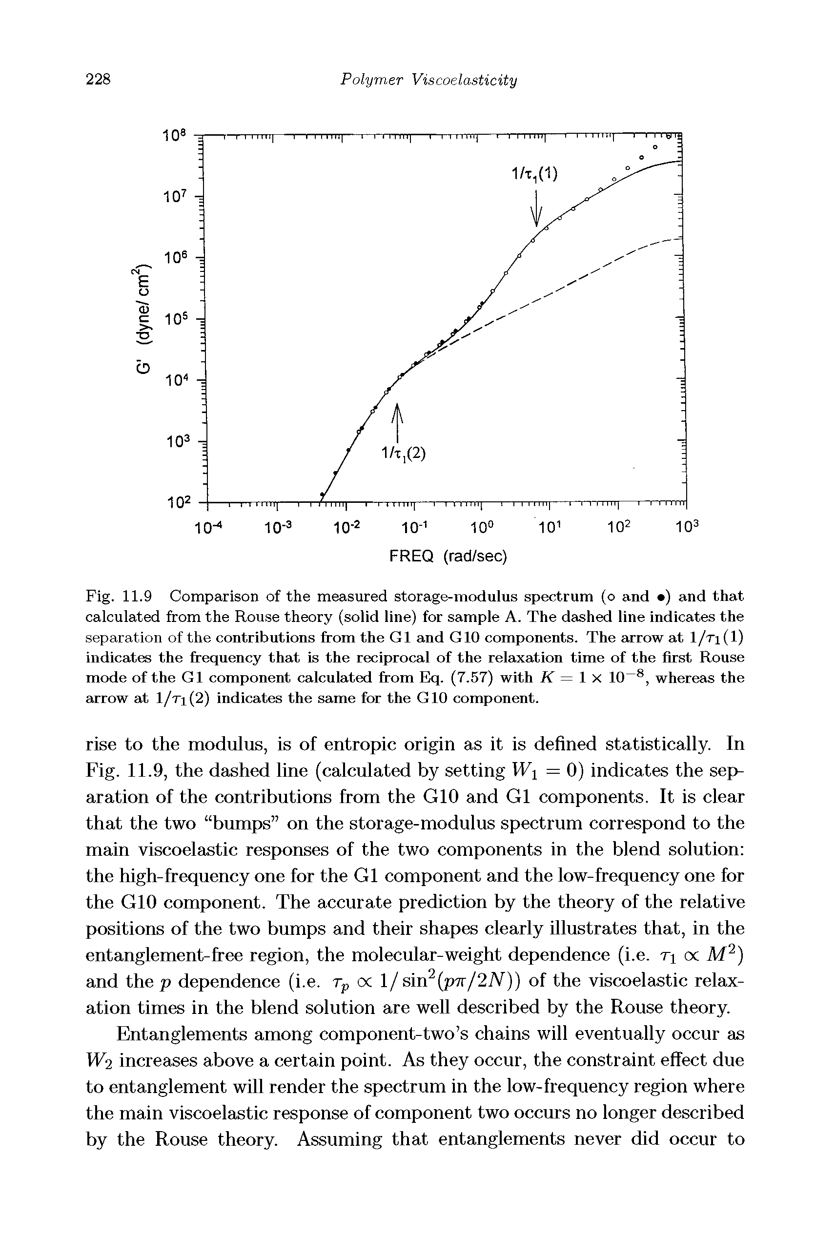 Fig. 11.9 Comparison of the measured storage-modulus spectrum (o and ) and that calculated from the Rouse theory (solid line) for sample A. The dashed line indicates the separation of the contributions from the G1 and GIO components. The arrow at 1/ti(1) indicates the frequency that is the reciprocal of the relaxation time of the first Rouse mode of the G1 component calculated from Eq. (7.57) with K = x 10, wheresis the arrow at l/ri(2) indicates the same for the GIO component.