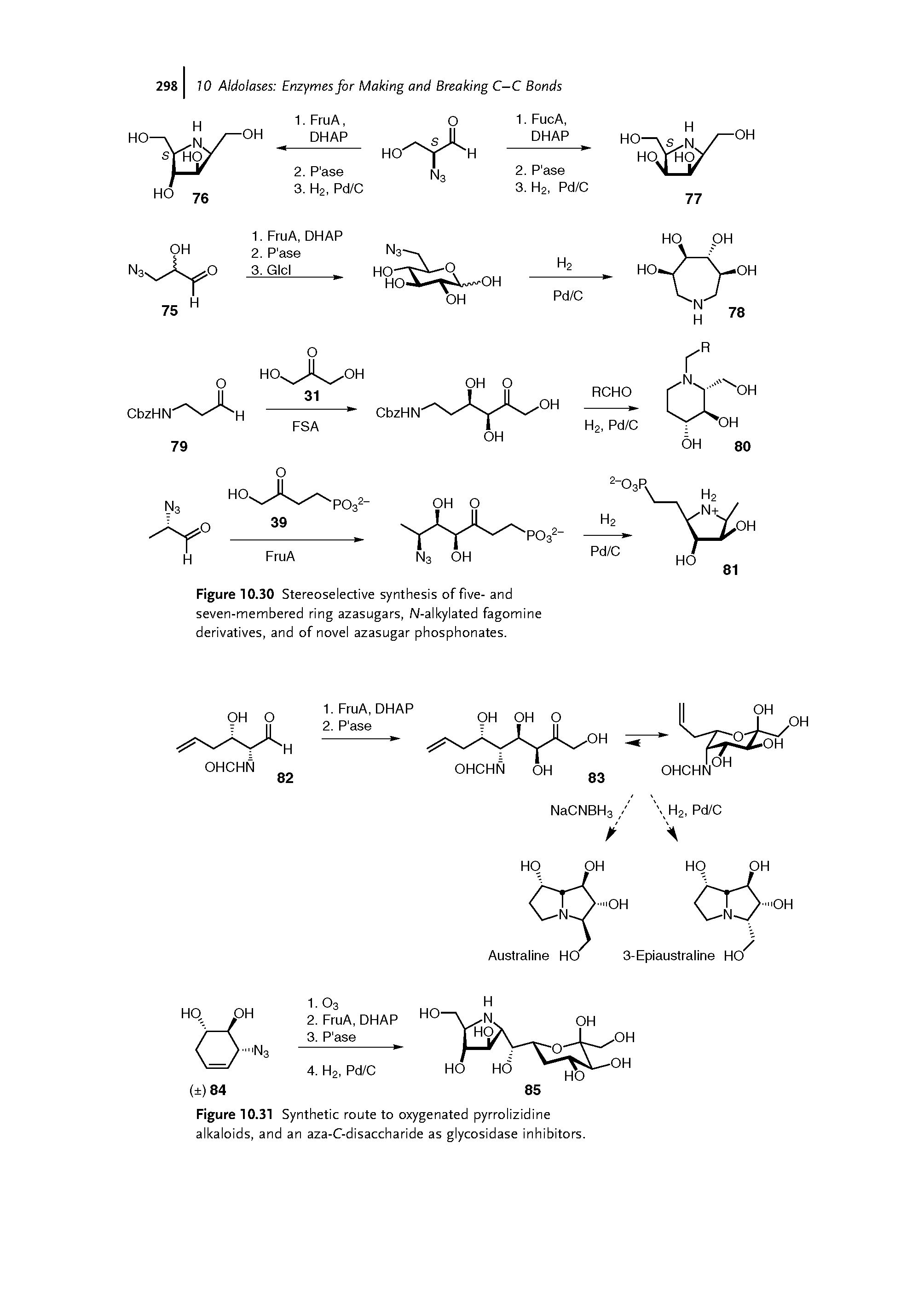 Figure 10.31 Synthetic route to oxygenated pyrrolizidine alkaloids, and an aza-C-disaccharide as glycosidase inhibitors.
