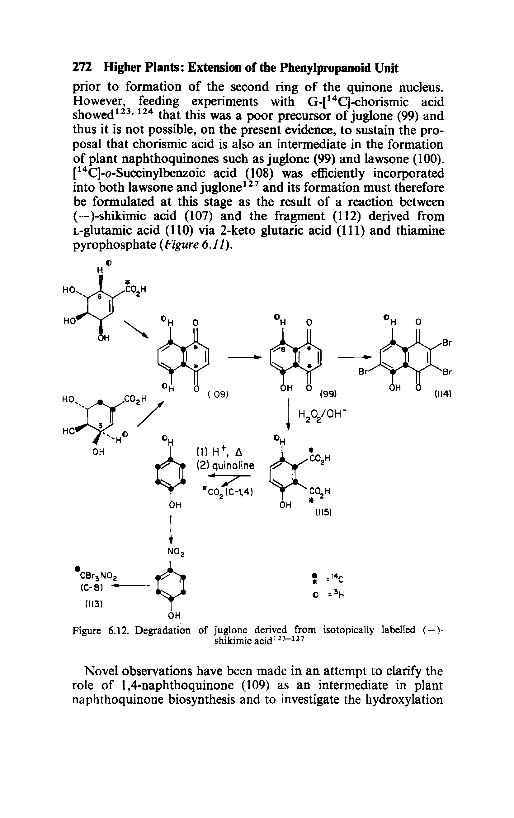 Figure 6.12. Degradation of juglone derived from isotopically labelled (—)-...