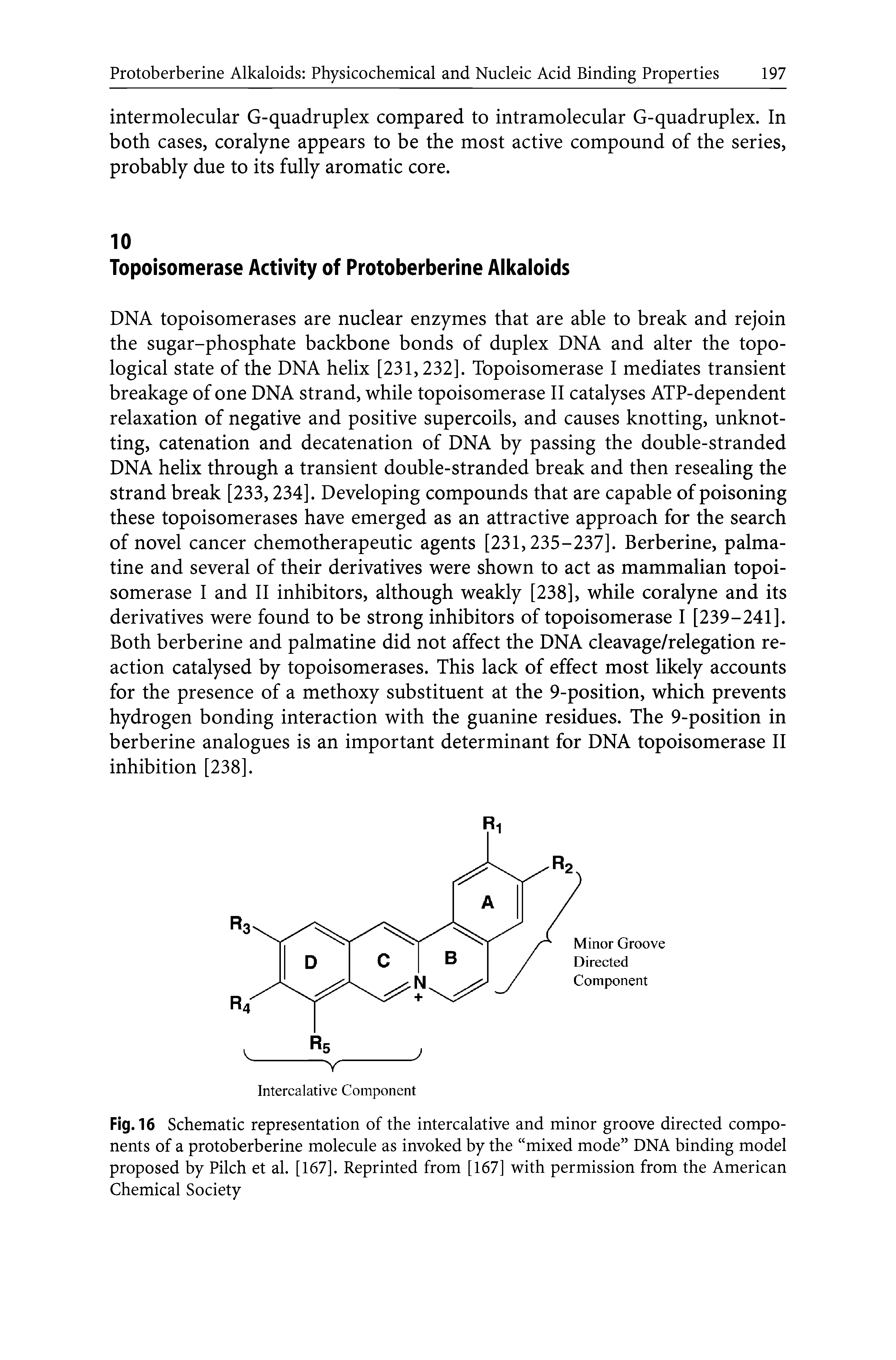 Fig. 16 Schematic representation of the intercalative and minor groove directed components of a protoberberine molecule as invoked by the mixed mode DNA binding model proposed by Pilch et al. [167]. Reprinted from [167] with permission from the American Chemical Society...