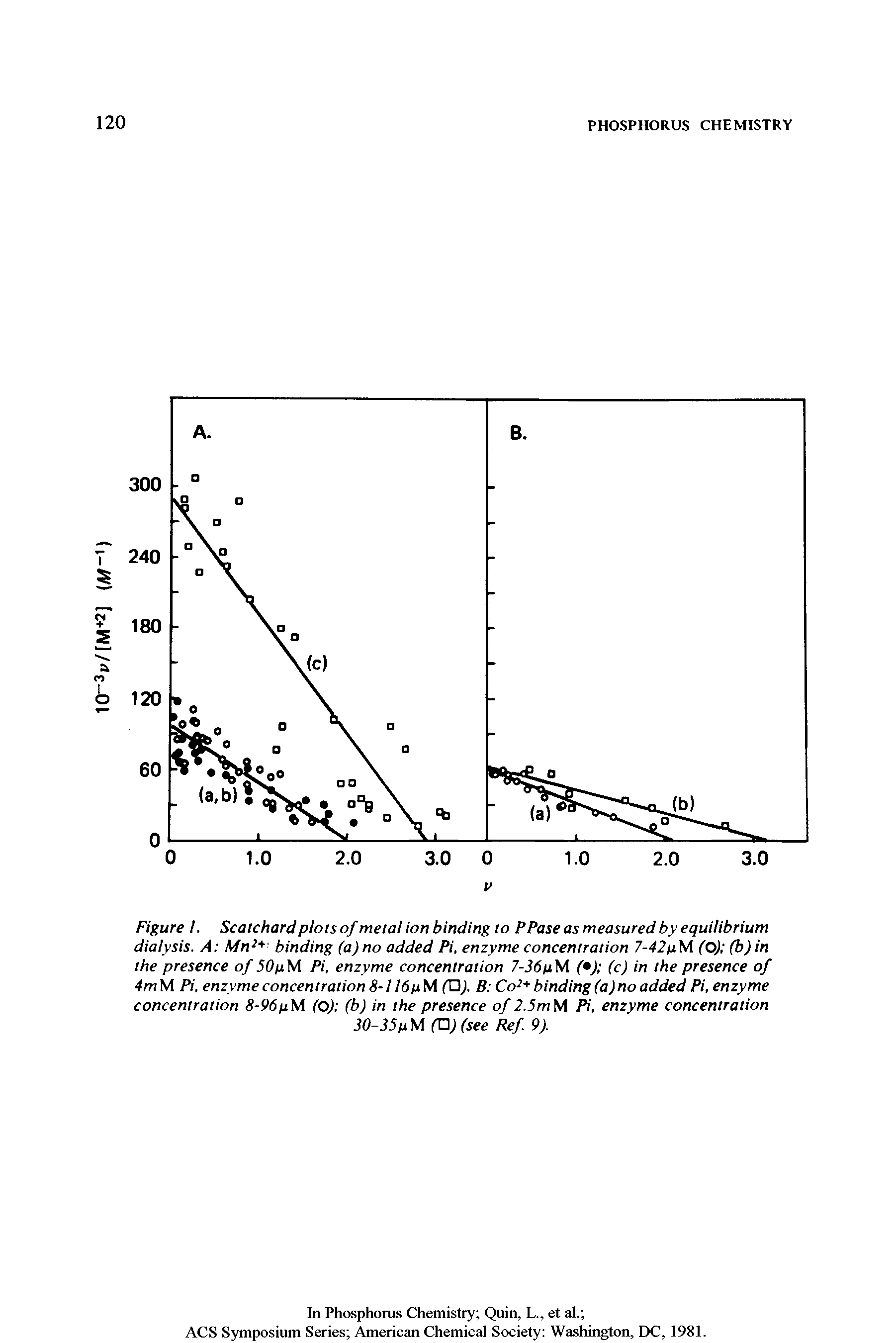 Figure I. Scatchard plots of metal ion binding to PPase as measured by equilibrium dialysis. A Mn2 binding (a) no added Pi, enzyme concentration 7-42/uM (O) (b) in the presence of 50/uM Pi, enzyme concentration 7-36pM ( ) (c) in the presence of 4mM Pi, enzyme concentration 8-116 p M (O). B Co2 binding (a) no added Pi, enzyme concentration 8-96pM (o) (b) in the presence of 2.5mM Pi, enzyme concentration 30-35p M (U) (see Ref. 9).