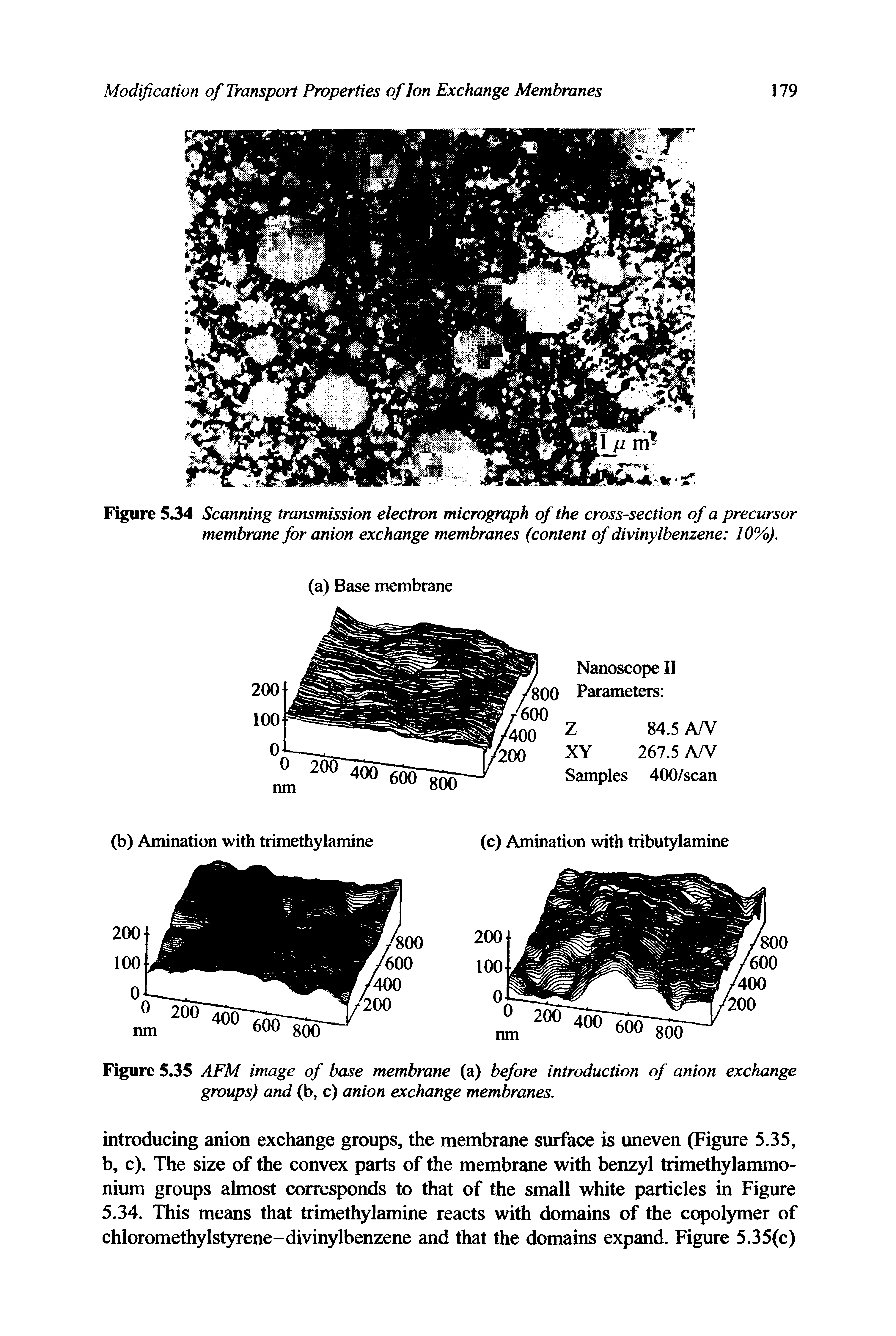 Figure 5.34 Scanning transmission electron micrograph of the cross-section of a precursor membrane for anion exchange membranes (content of divinylbenzene 10%).