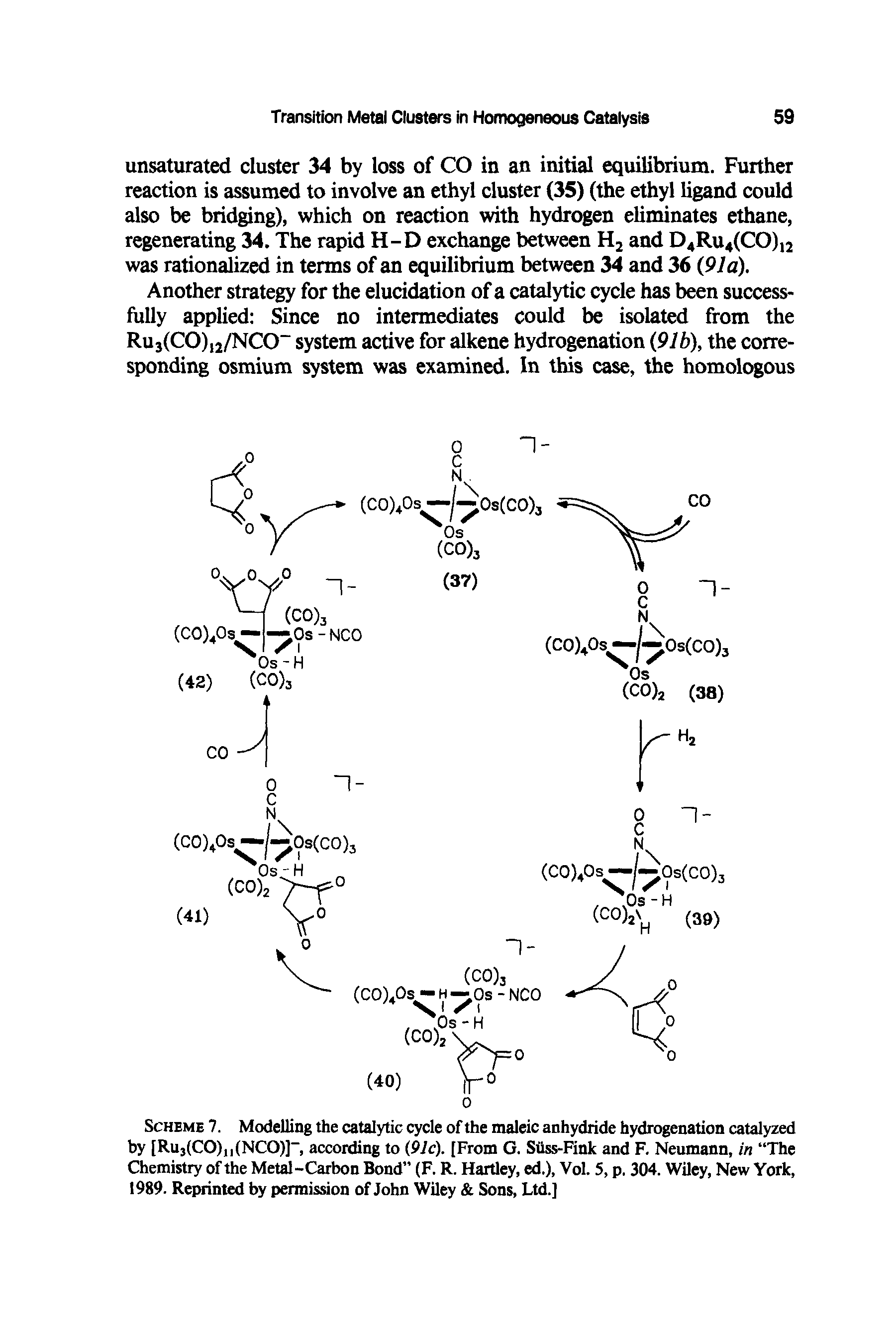 Scheme 7. Modelling the catalytic cycle of the maleic anhydride hydrogenation catalyzed by [Ru3(CO),(NCO)]-, according to (91c). [From G. Siiss-Fink and F. Neumann, in The Chemistry of the Metal-Carbon Bond (F. R. Hartley, ed.), Vol. 5, p. 304. Wiley, New York, 1989. Reprinted by permission of John Wiley Sons, Ltd.]...