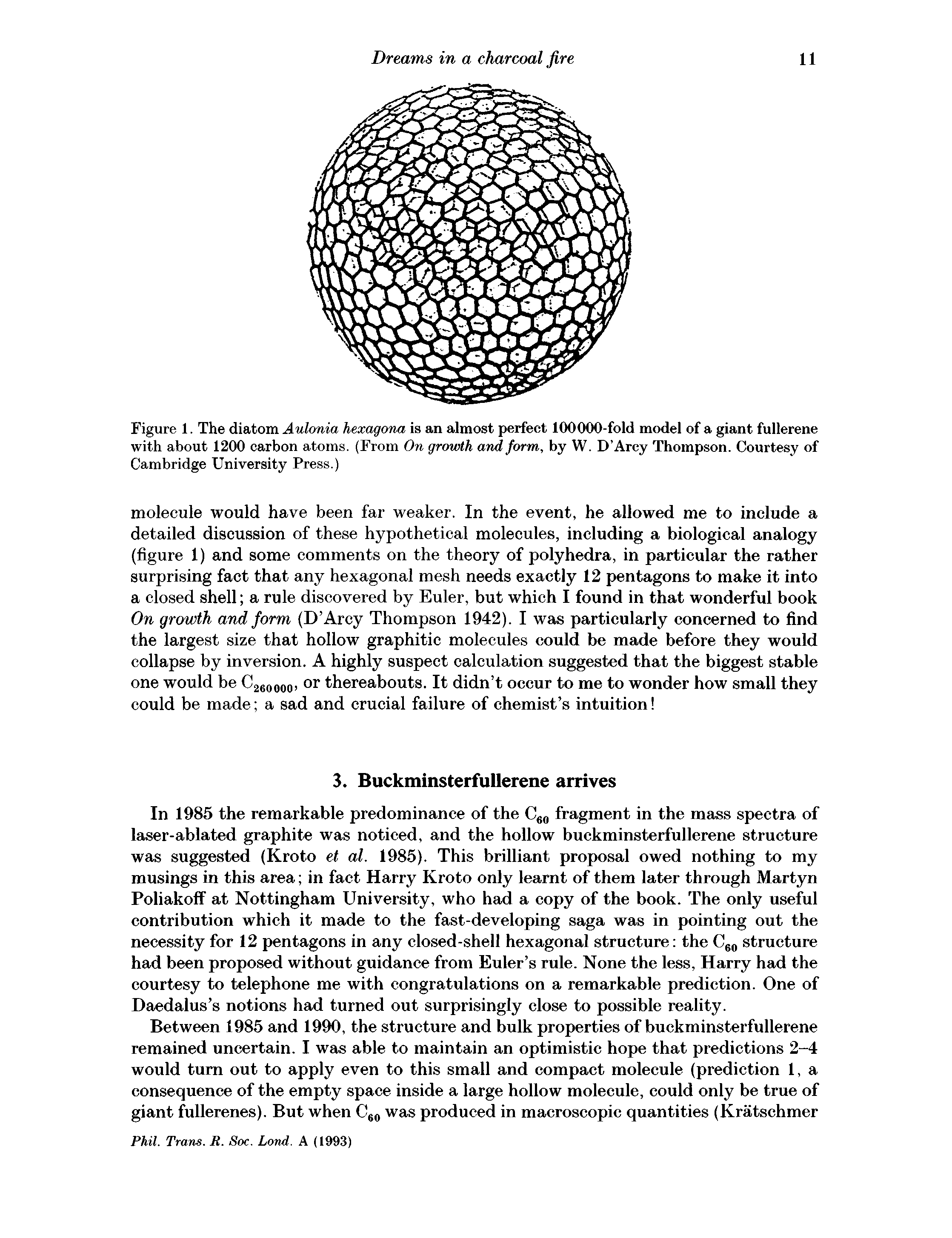 Figure 1. The diatom Aulonia hexagona is an almost perfect 100000-fold model of a giant fullerene with about 1200 carbon atoms. (From On growth and form, by W. D Arey Thompson. Courtesy of Cambridge University Press.)...