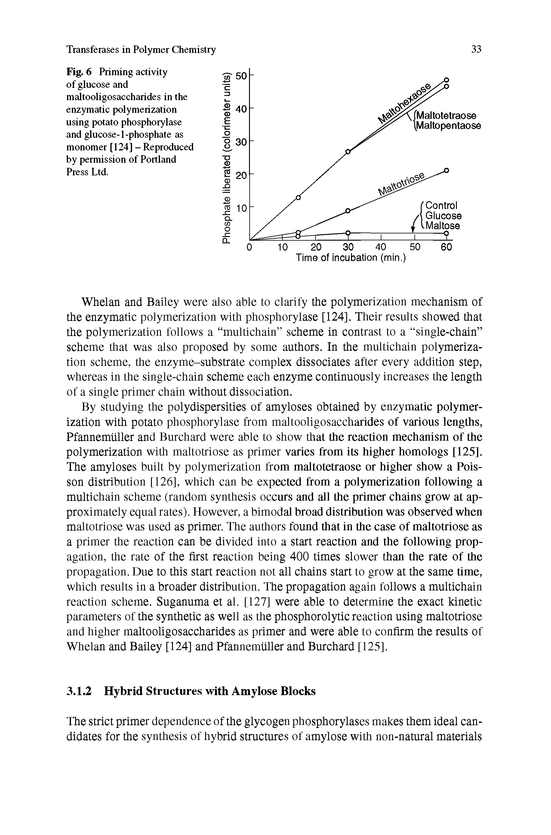 Fig. 6 Priming activity of glucose and maltooligosaccharides in the enzymatic polymerization using potato phosphorylase and glucose-1-phosphate as monomer [124] - Reproduced by permission of Portland Press Ltd.