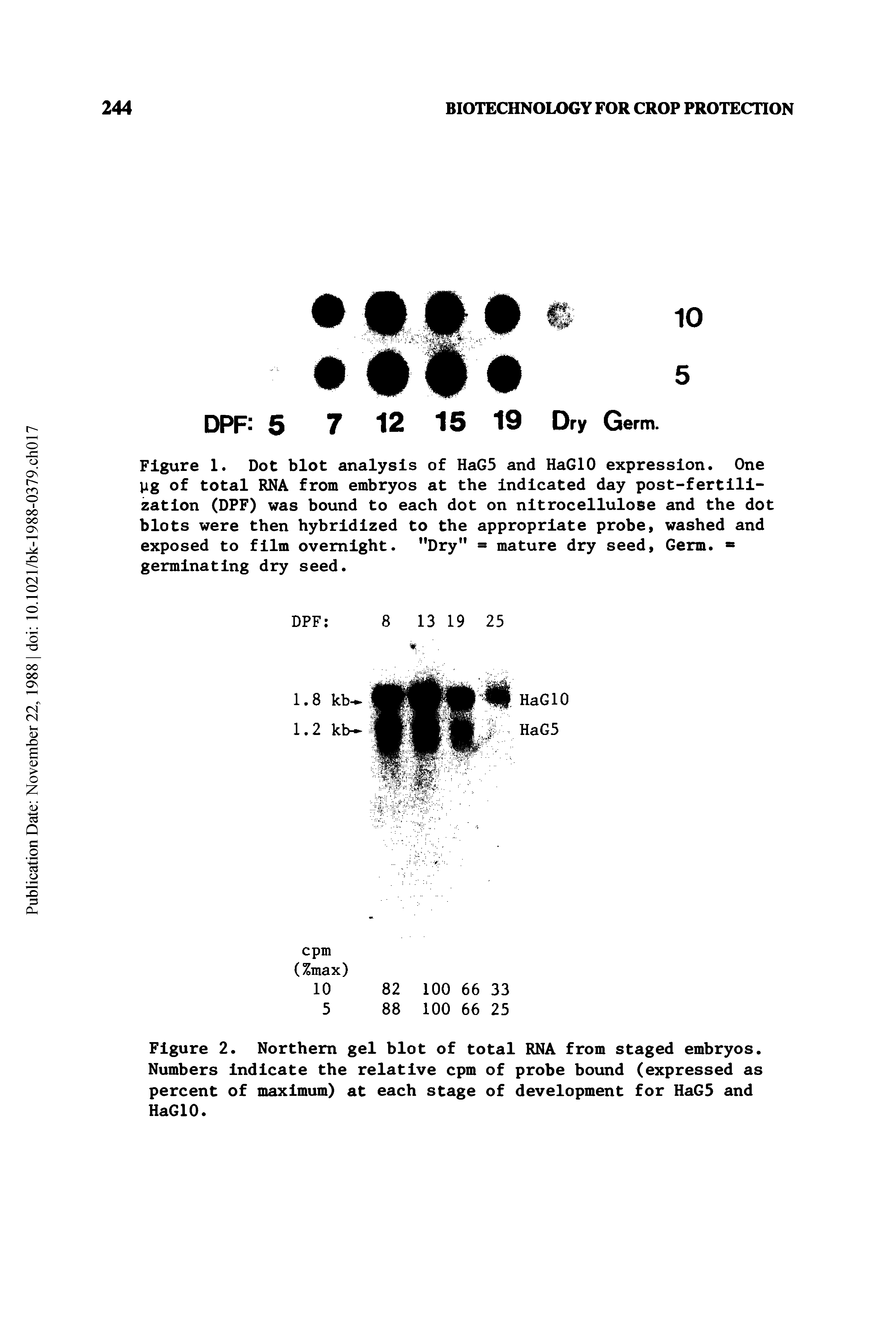 Figure 1. Dot blot analysis of HaG5 and HaGlO expression. One pg of total RNA from embryos at the indicated day post-fertilization (DPF) was bound to each dot on nitrocellulose and the dot blots were then hybridized to the appropriate probe, washed and exposed to film overnight. "Dry" - mature dry seed, Germ. germinating dry seed.