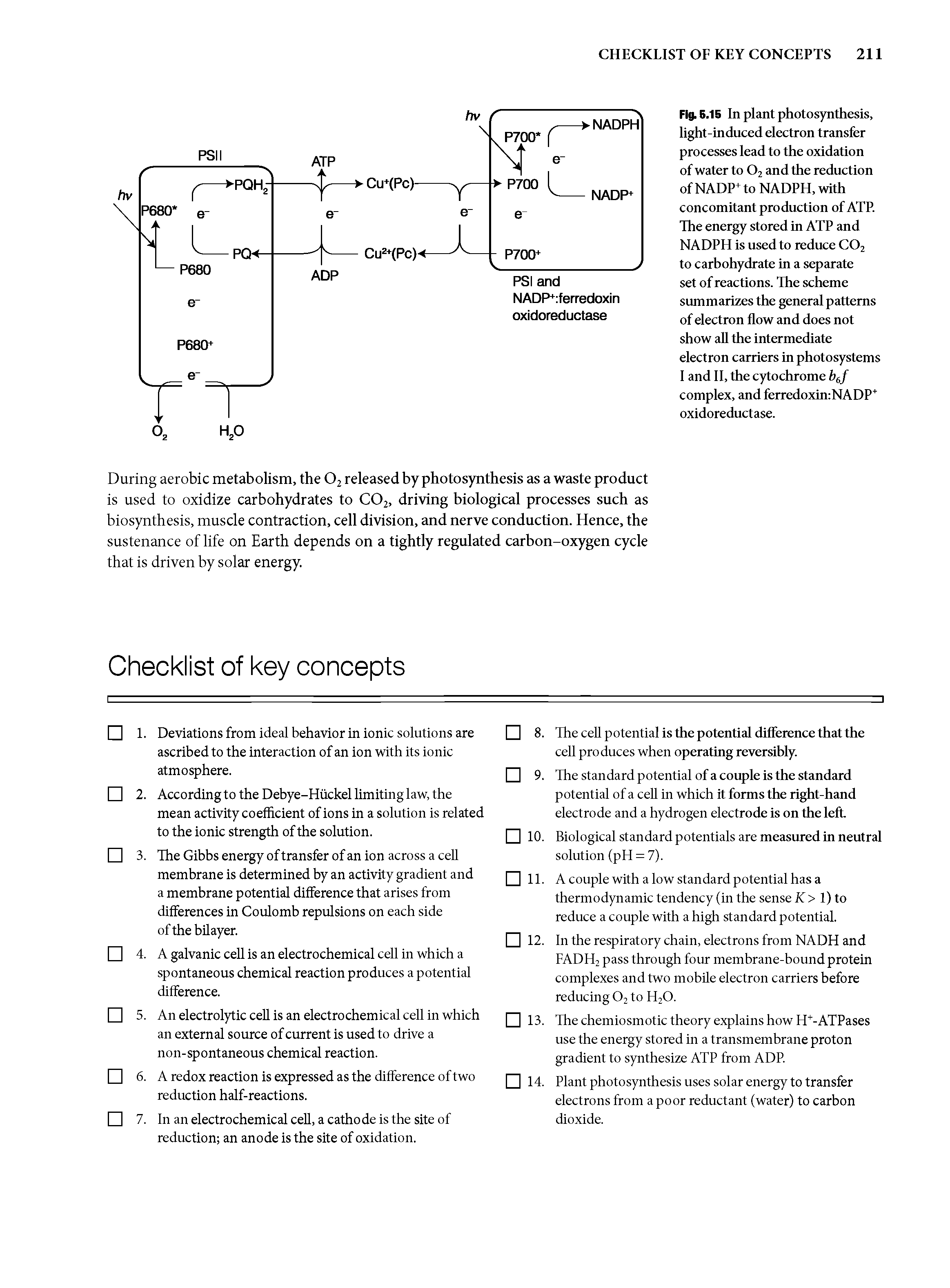 Fig. 6.15 In plant photosynthesis, light-induced electron transfer processes lead to the oxidation of water to O2 and the reduction of NADP+ to NADPH, with concomitant production of ATP. The energy stored in ATP and NADPH is used to reduce CO2 to carbohydrate in a separate set of reactions. The scheme summarizes the general patterns of electron flow and does not show aU the intermediate electron carriers in photosystems 1 and 11, the cytochrome b f complex, andferredoxin NADP oxidoreductase.