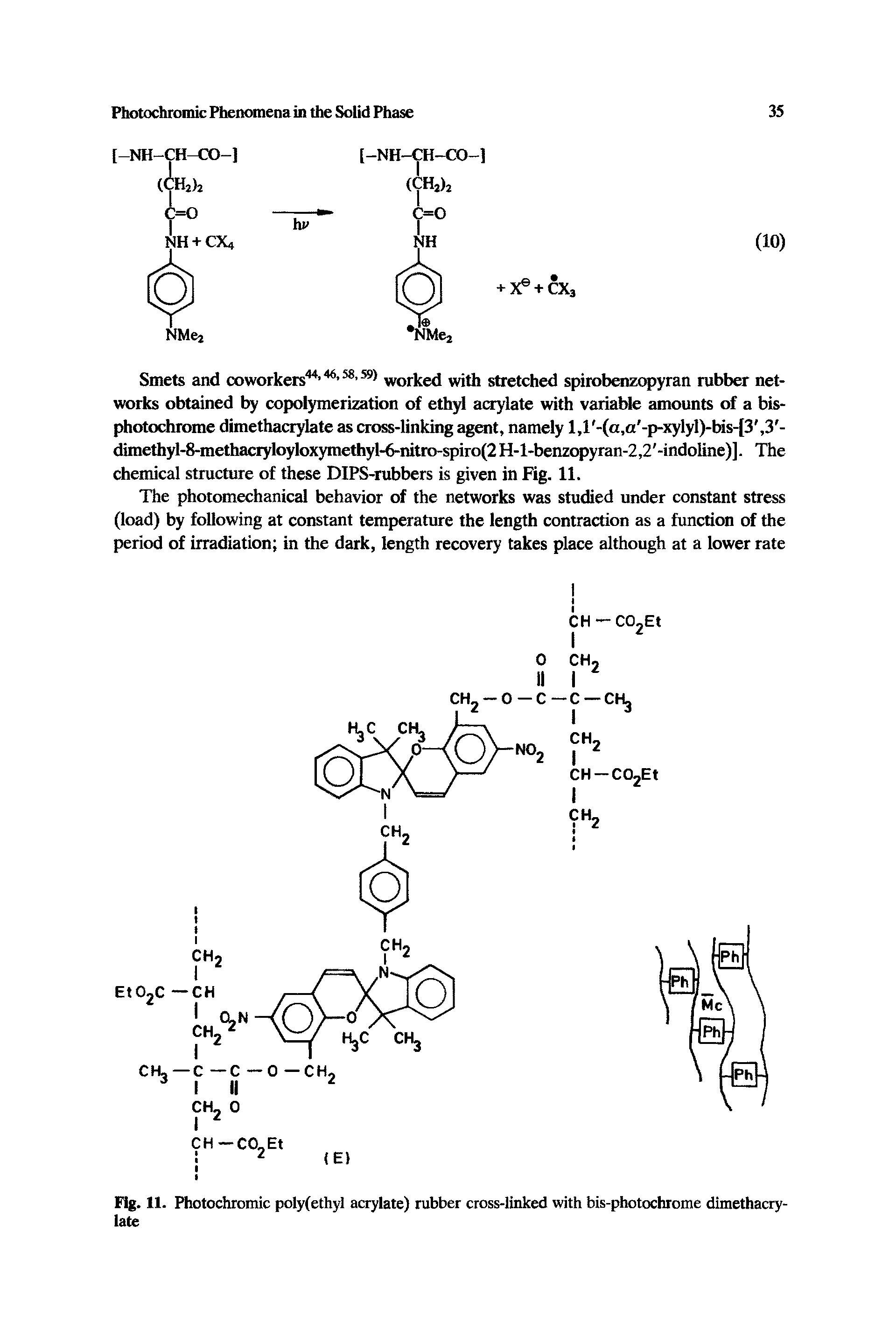 Fig. 11. Photochromic polyfethyl acrylate) rubber cross-linked with bis-photochrome dimethacrylate...