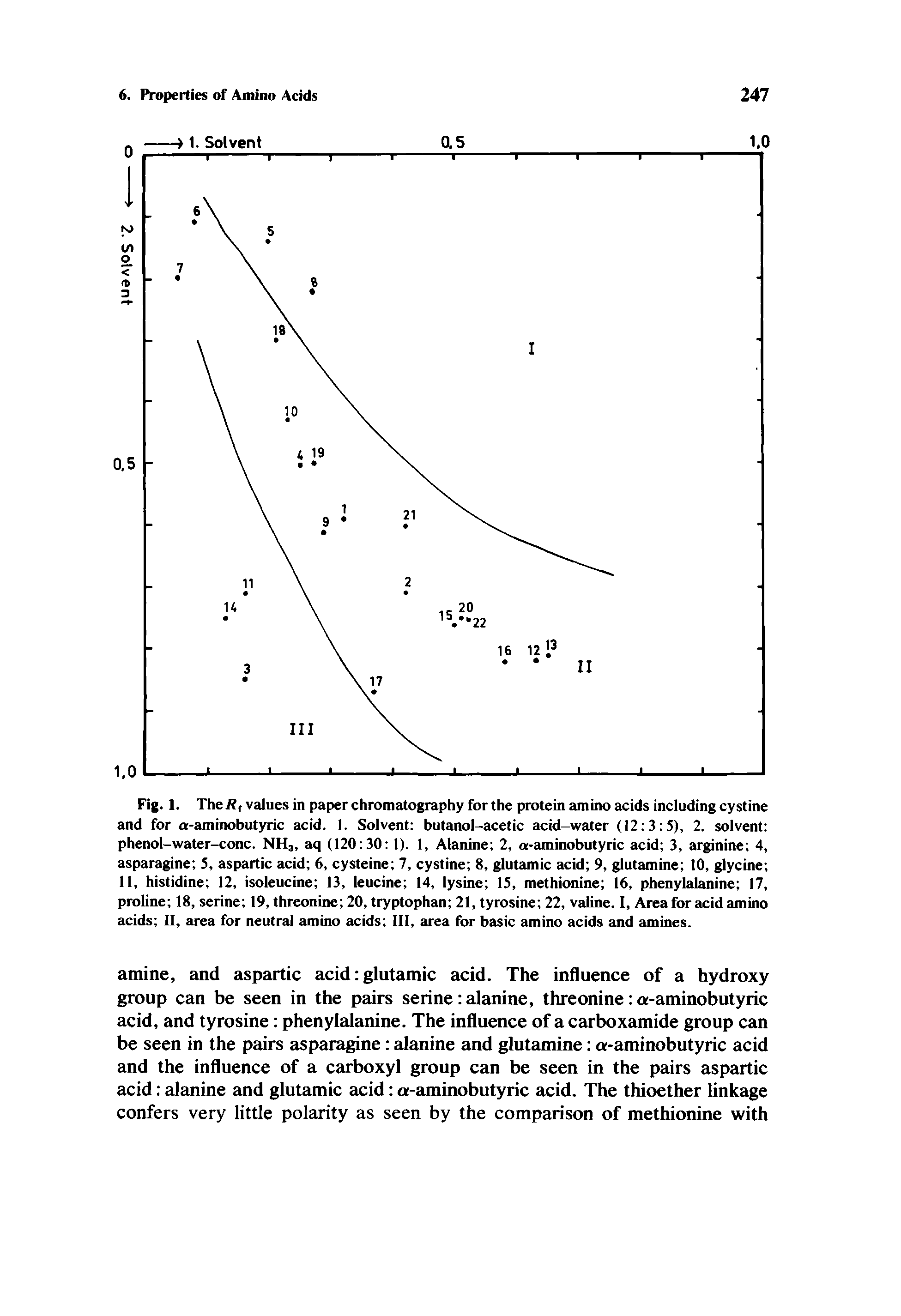 Fig. 1. The R, values in paper chromatography for the protein amino acids including cystine and for a-aminobutyric acid. I. Solvent butanol-acetic acid-water (12 3 5), 2. solvent phenol-water-conc. NH, aq (120 30 1). I, Alanine 2, a-aminobutyric acid 3, arginine 4, asparagine 5. aspartic acid 6, cysteine 7, cystine 8, glutamic acid 9, glutamine 10, glycine II, histidine 12, isoleucine 13, leucine 14, lysine 15, methionine 16, phenylalanine 17, proline 18, serine 19, threonine 20, tryptophan 21, tyrosine 22, valine. I, Area for acid amino acids II, area for neutral amino acids III, area for basic amino acids and amines.