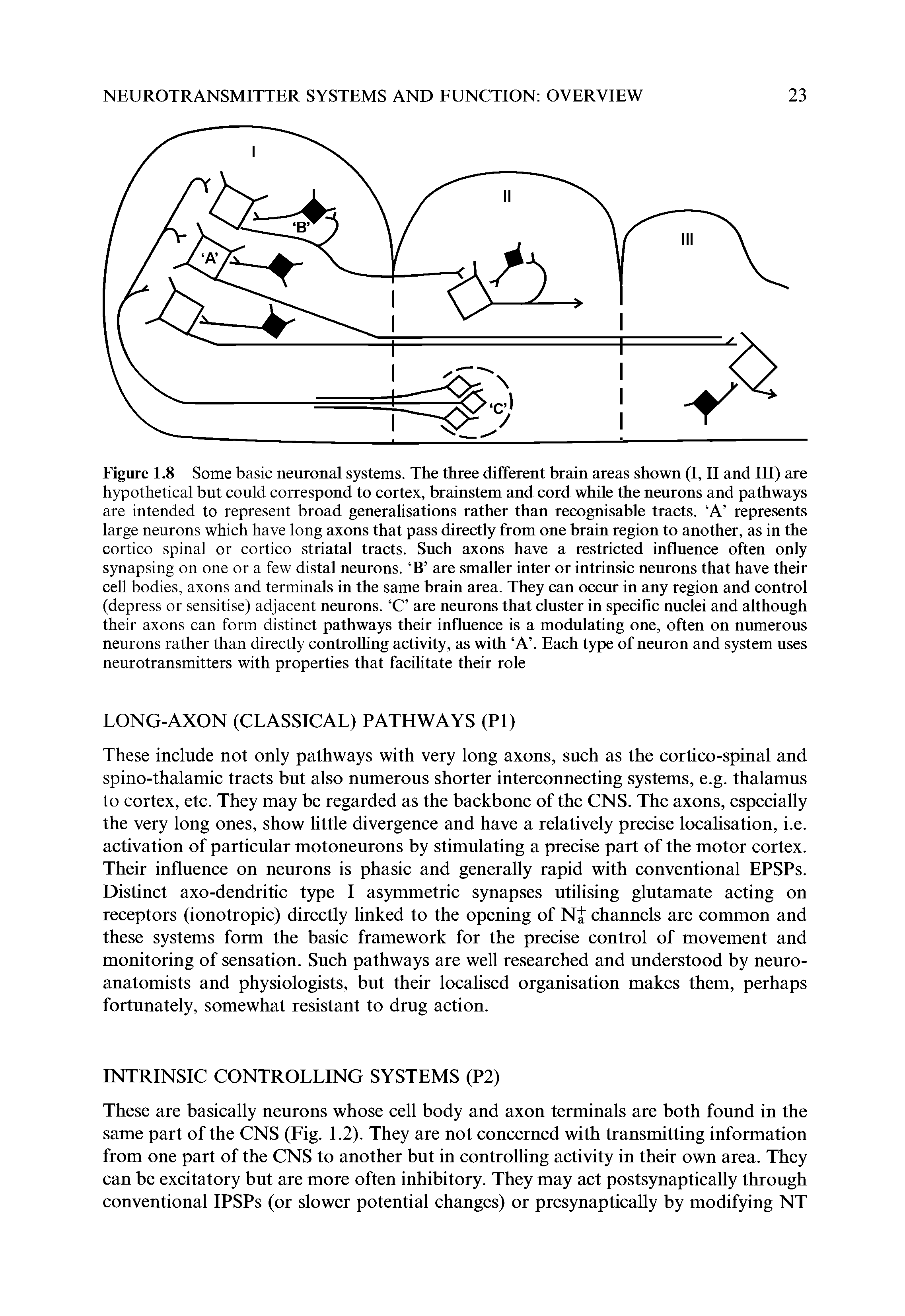 Figure 1.8 Some basic neuronal systems. The three different brain areas shown (I, II and III) are hypothetical but could correspond to cortex, brainstem and cord while the neurons and pathways are intended to represent broad generalisations rather than recognisable tracts. A represents large neurons which have long axons that pass directly from one brain region to another, as in the cortico spinal or cortico striatal tracts. Such axons have a restricted influence often only synapsing on one or a few distal neurons. B are smaller inter or intrinsic neurons that have their cell bodies, axons and terminals in the same brain area. They can occur in any region and control (depress or sensitise) adjacent neurons. C are neurons that cluster in specific nuclei and although their axons can form distinct pathways their influence is a modulating one, often on numerous neurons rather than directly controlling activity, as with A . Each type of neuron and system uses neurotransmitters with properties that facilitate their role...