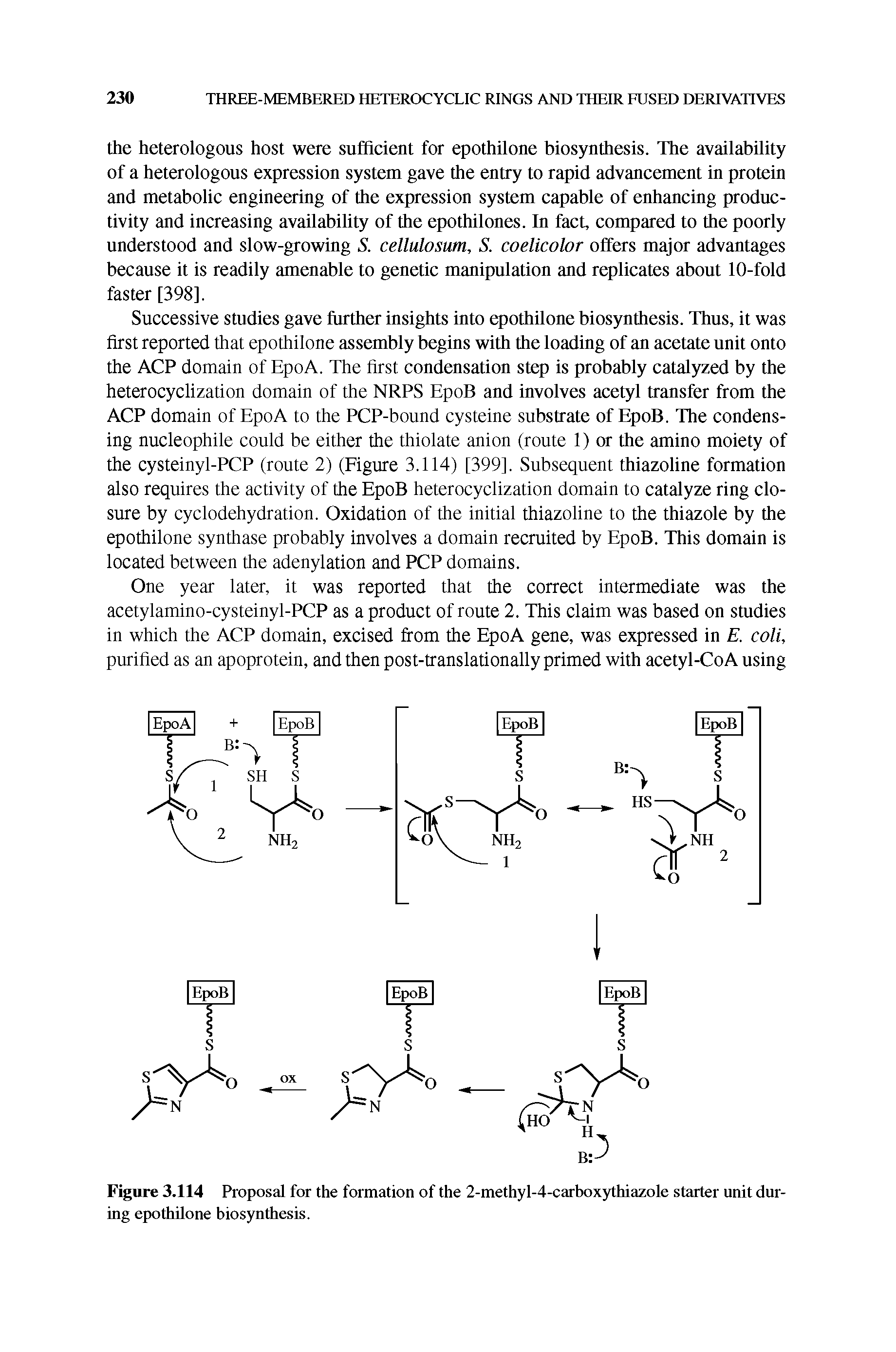 Figure 3.114 Proposal for the formation of the 2-methyl-4-carboxythiazole starter unit during epothilone biosynthesis.