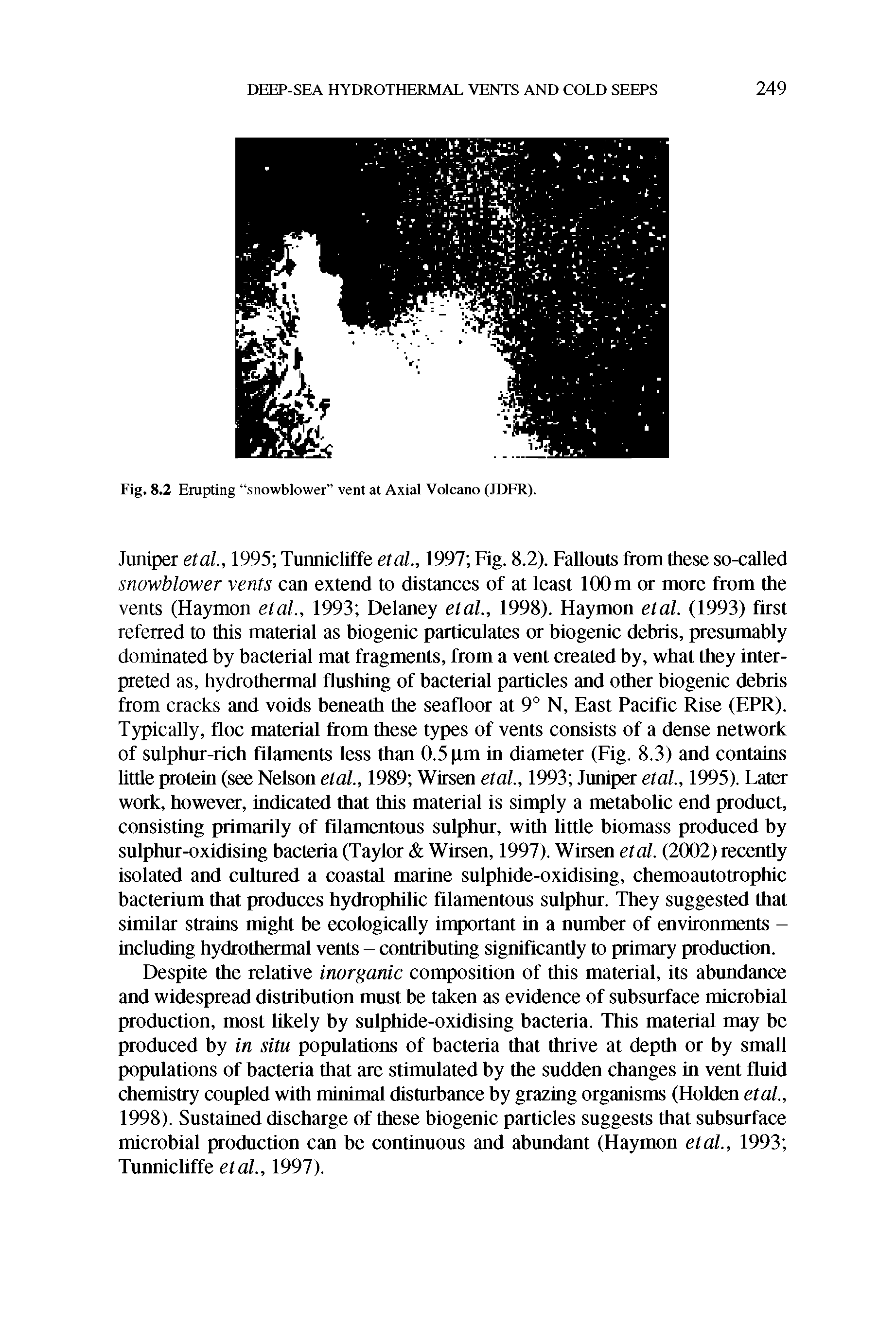Fig. 8.2 Erupting snowblower vent at Axial Volcano (JDFR).