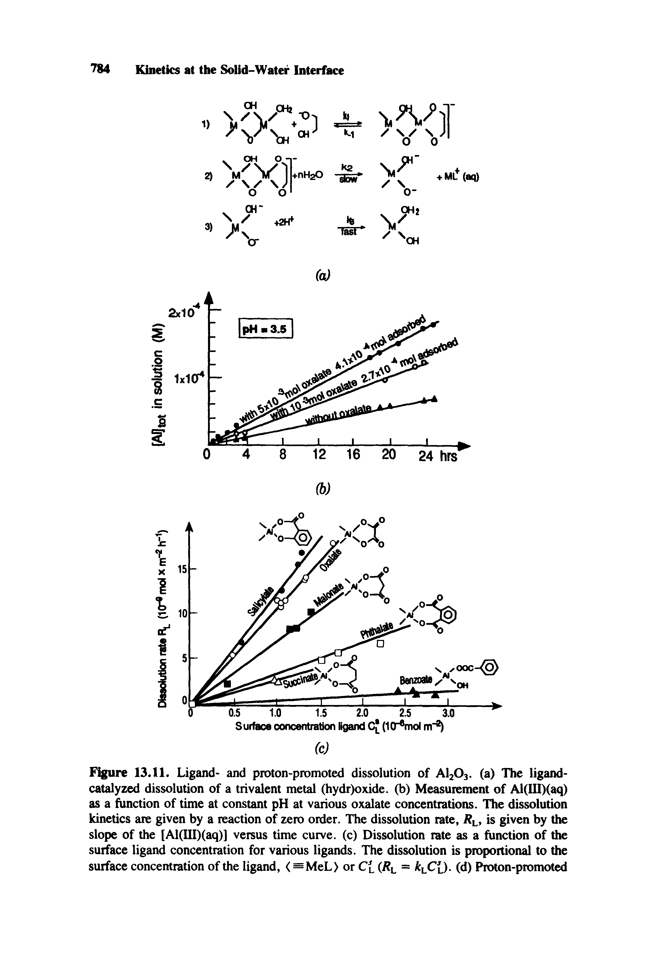 Figure 13.11. Ligand- and proton-promoted dissolution of AI2O3. (a) The ligand-catalyzed dissolution of a trivalent metal (hydr)oxide. (b) Measurement of Al(UI)(aq) as a function of time at constant pH at various oxalate concentrations. The dissolution Idnetics are given by a reaction of zero order. The dissolution rate, / l, is given by the slope of the (Al(III)(aq)] versus time curve, (c) Dissolution rate as a function of the surface ligand concentration for various ligands. The dissolution is proportional to the surface concentration of the ligand, <=MeL> or C(. (/ l = (d) Proton-promoted...