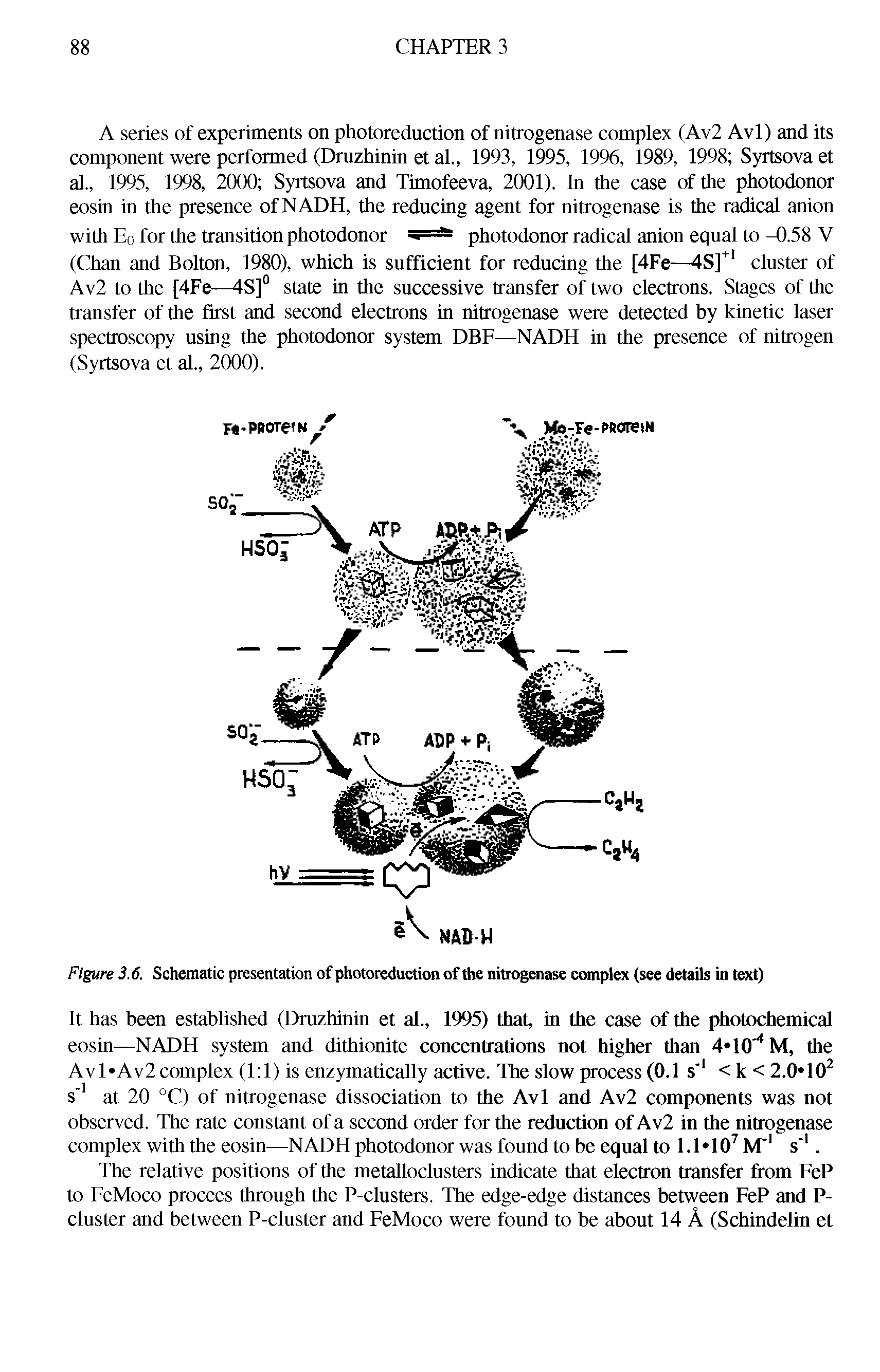 Figure 3.6. Schematic presentation of photoreduction of the nitrogenase complex (see details in text)...