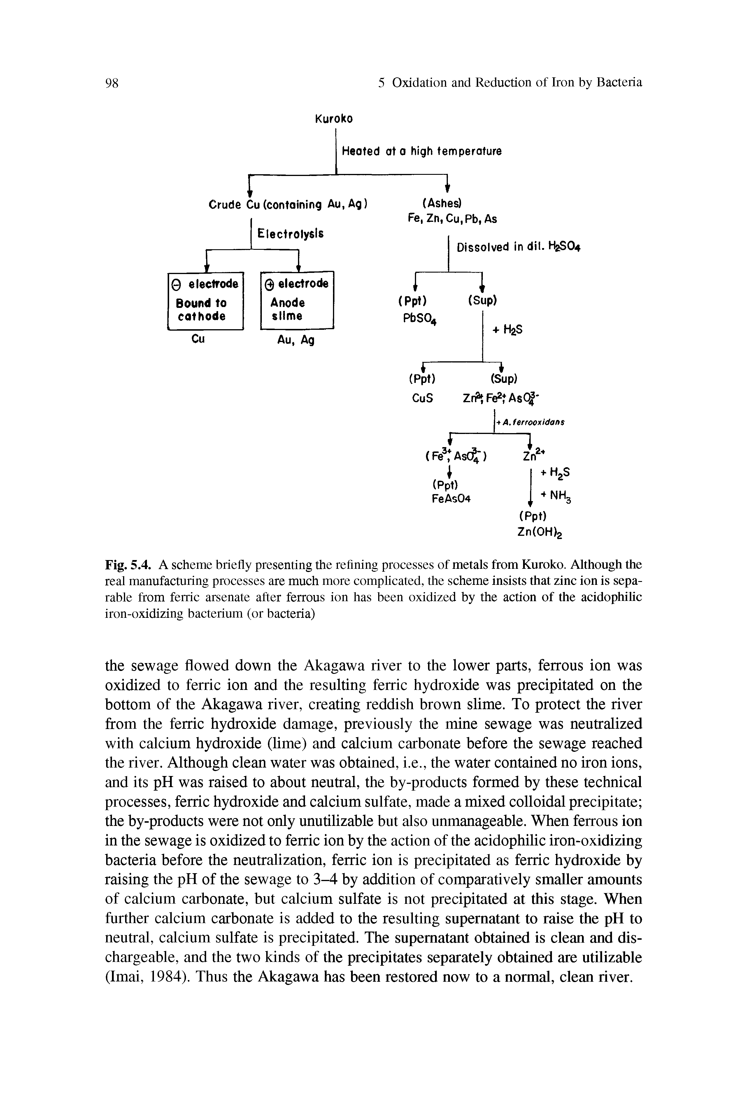 Fig. 5.4. A scheme briefly presenting the refining processes of metals from Kuroko. Although the real manufacturing processes are much more complicated, the scheme insists that zinc ion is separable from ferric arsenate after ferrous ion has been oxidized by the action of the acidophilic iron-oxidizing bacterium (or bacteria)...