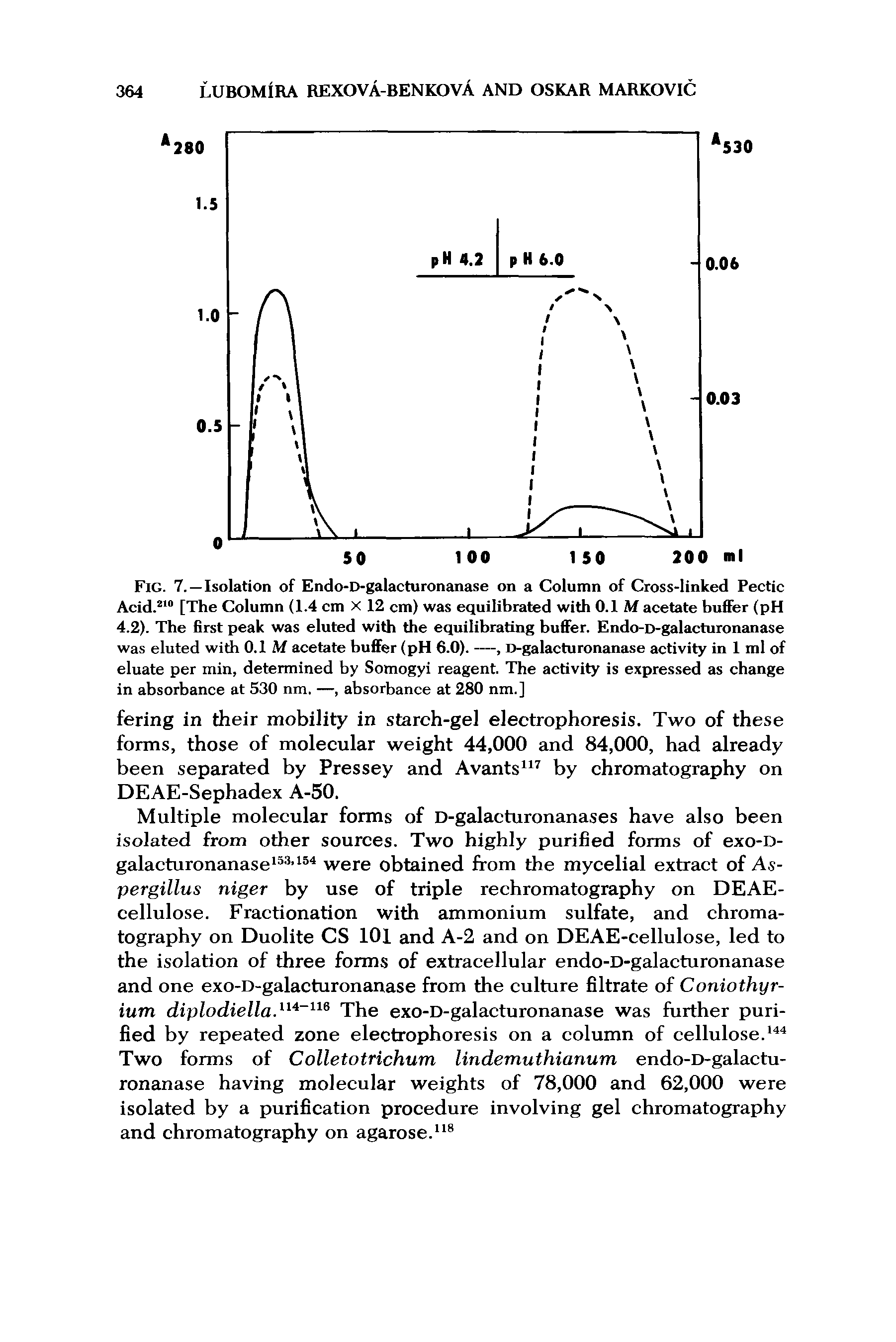 Fig. 7. —Isolation of Endo-D-galacturonanase on a Column of Cross-linked Pectic Acid.210 [The Column (1.4 cm X 12 cm) was equilibrated with 0.1 M acetate buffer (pH 4.2). The first peak was eluted with the equilibrating buffer. Endo-D-galacturonanase was eluted with 0.1 M acetate buffer (pH 6.0). —, D-galacturonanase activity in 1 ml of eluate per min, determined by Somogyi reagent. The activity is expressed as change in absorbance at 530 nm, —, absorbance at 280 nm.]...