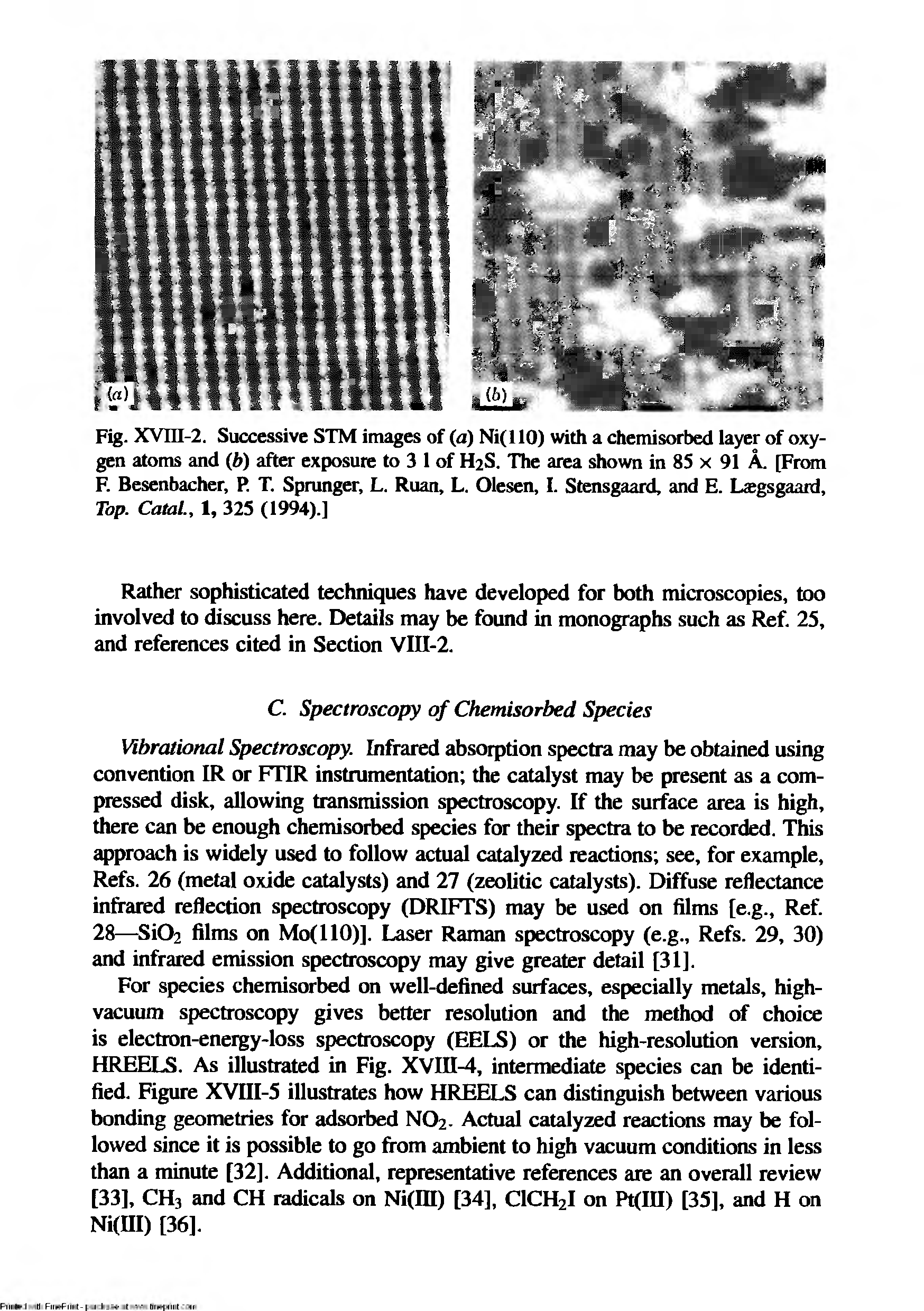 Fig. XVni-2. Successive STM images of (a) Ni(llO) with a chemisorbed layer of oxygen atoms and (b) after exposure to 3 1 of H2S. The area shown in 85 x 91 A. [From F. Besenbacher, P. T. Sprunger, L. Ruan, L. Olesen, I. Stensgaard, and E. Lcegsgaard, Tap. Catal., 1, 325 (1994).]...