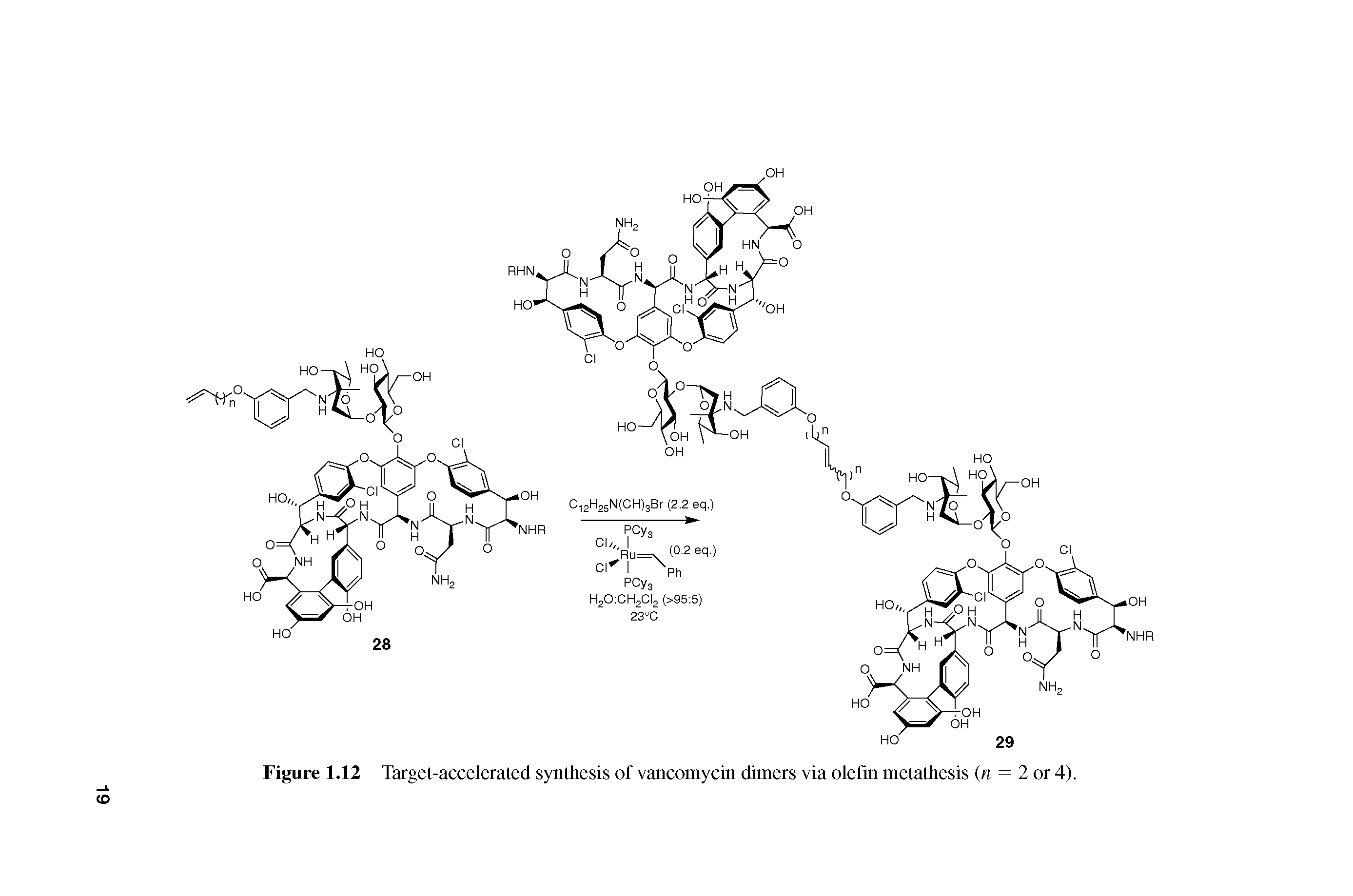 Figure 1.12 Target-accelerated synthesis of vancomycin dimers via olefin metathesis (n = 2 or 4).